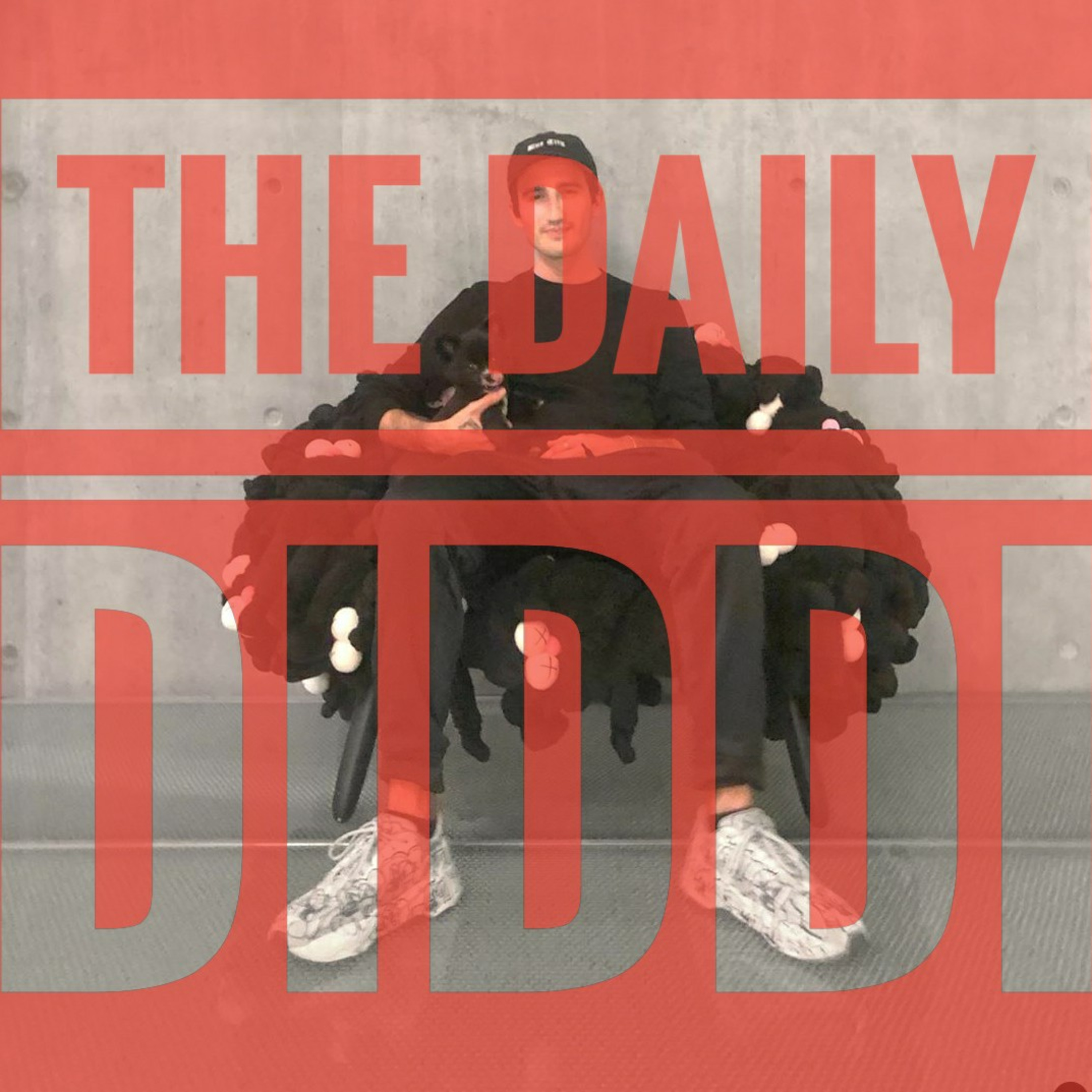 The Daily Diddi
