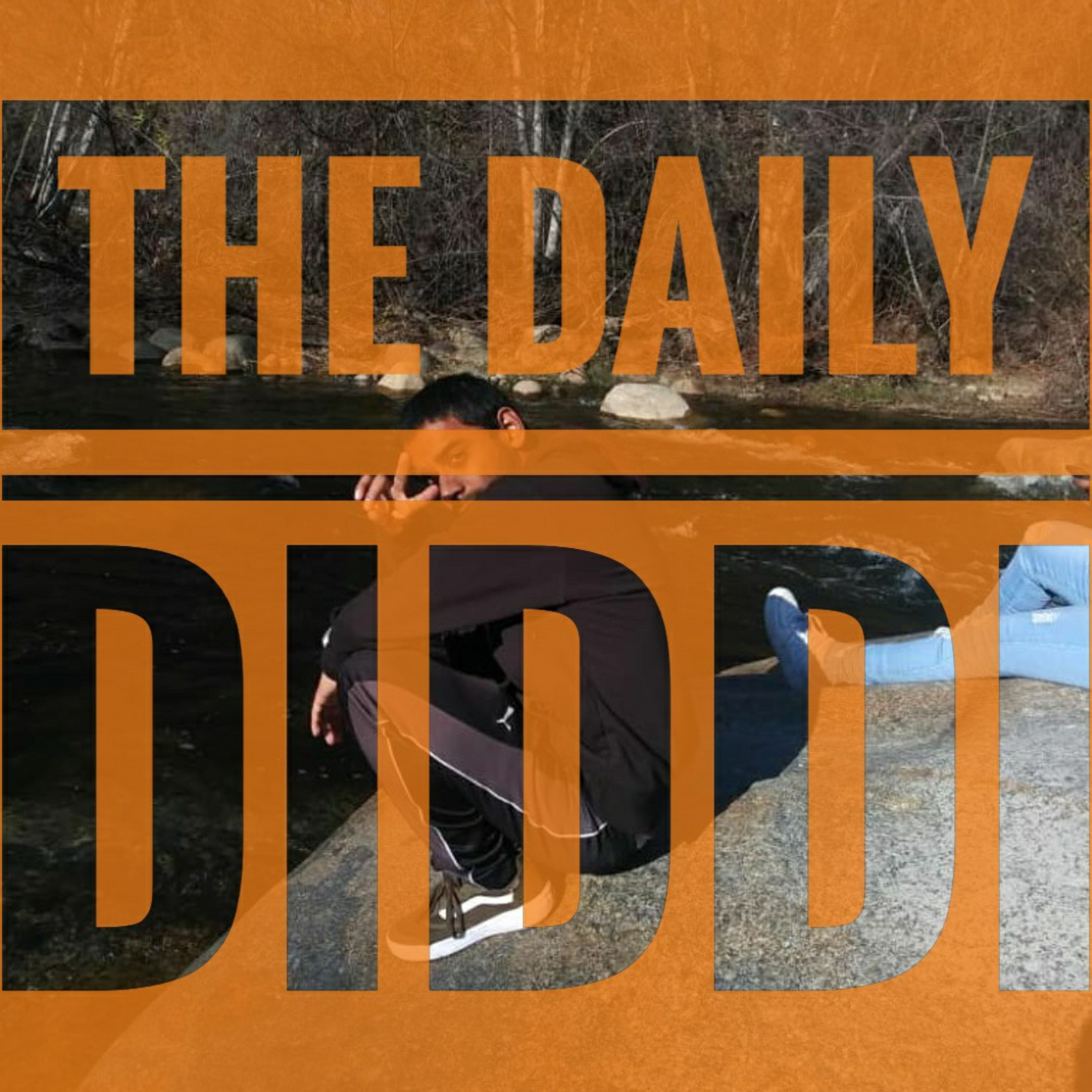 The Daily Diddi
