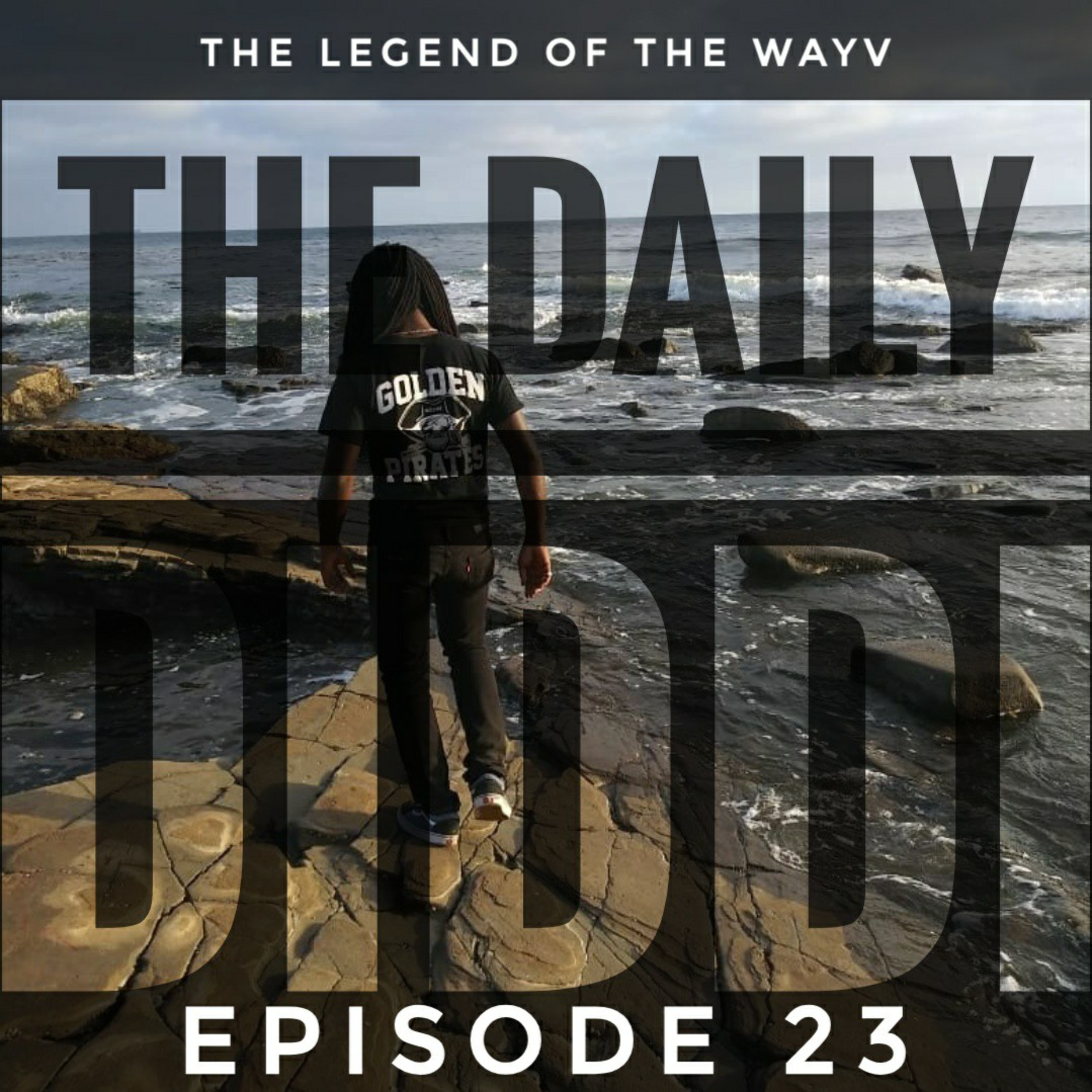 The Daily Diddi