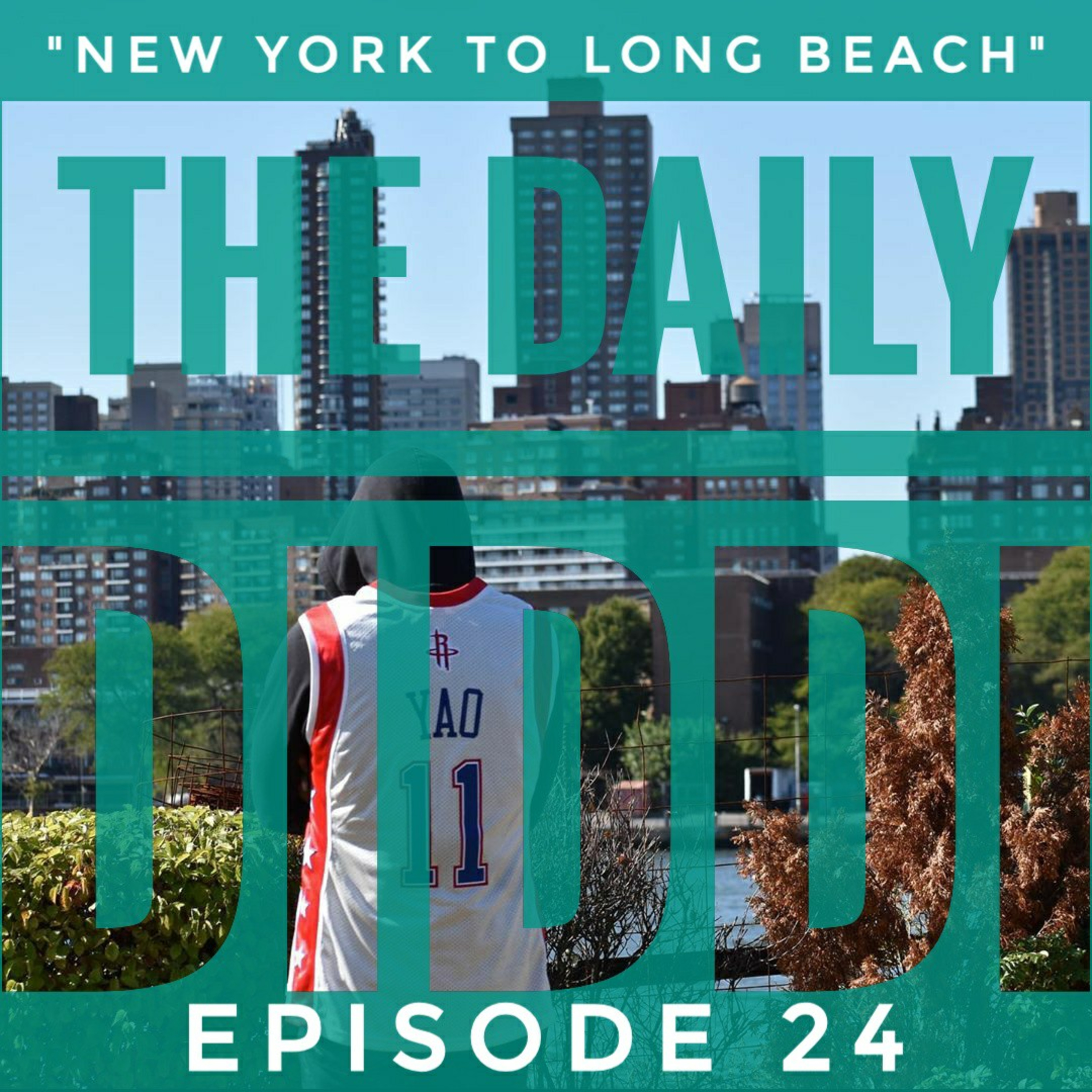 The Daily Diddi