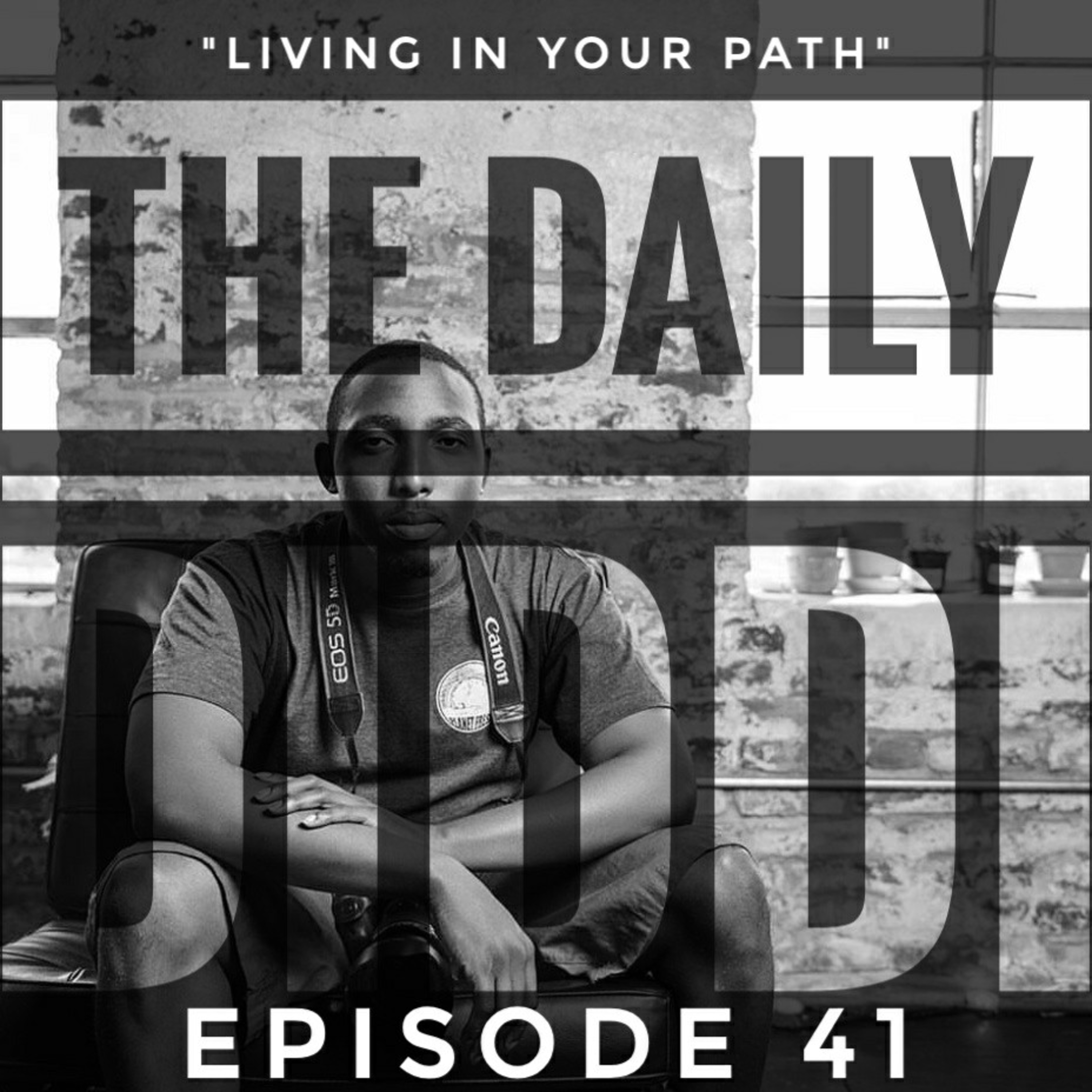 The Daily Diddi