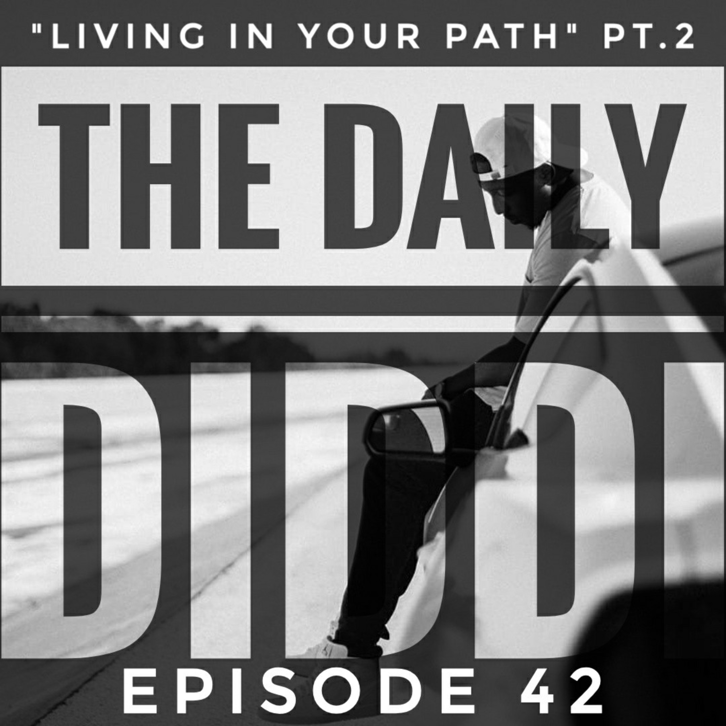 The Daily Diddi
