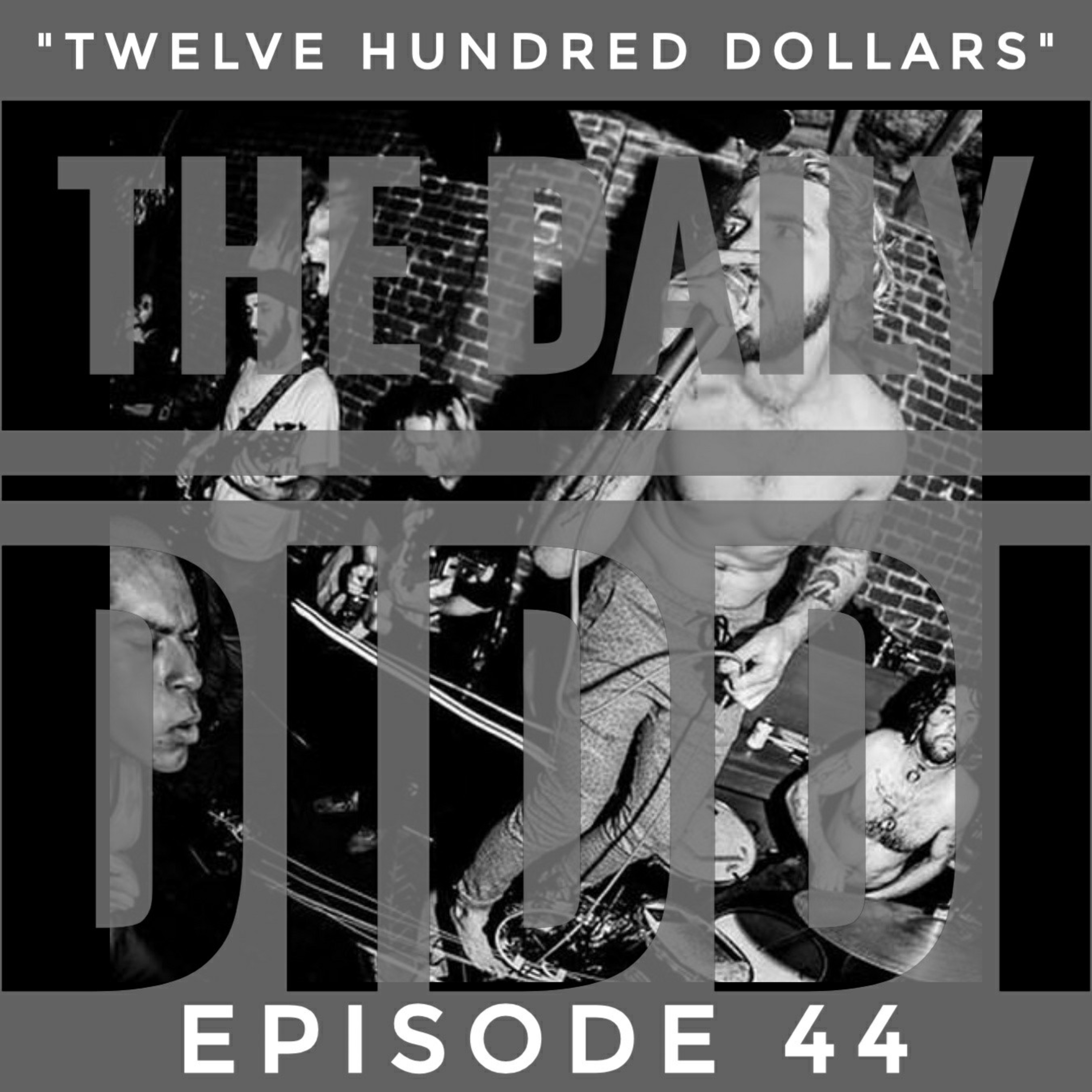 The Daily Diddi