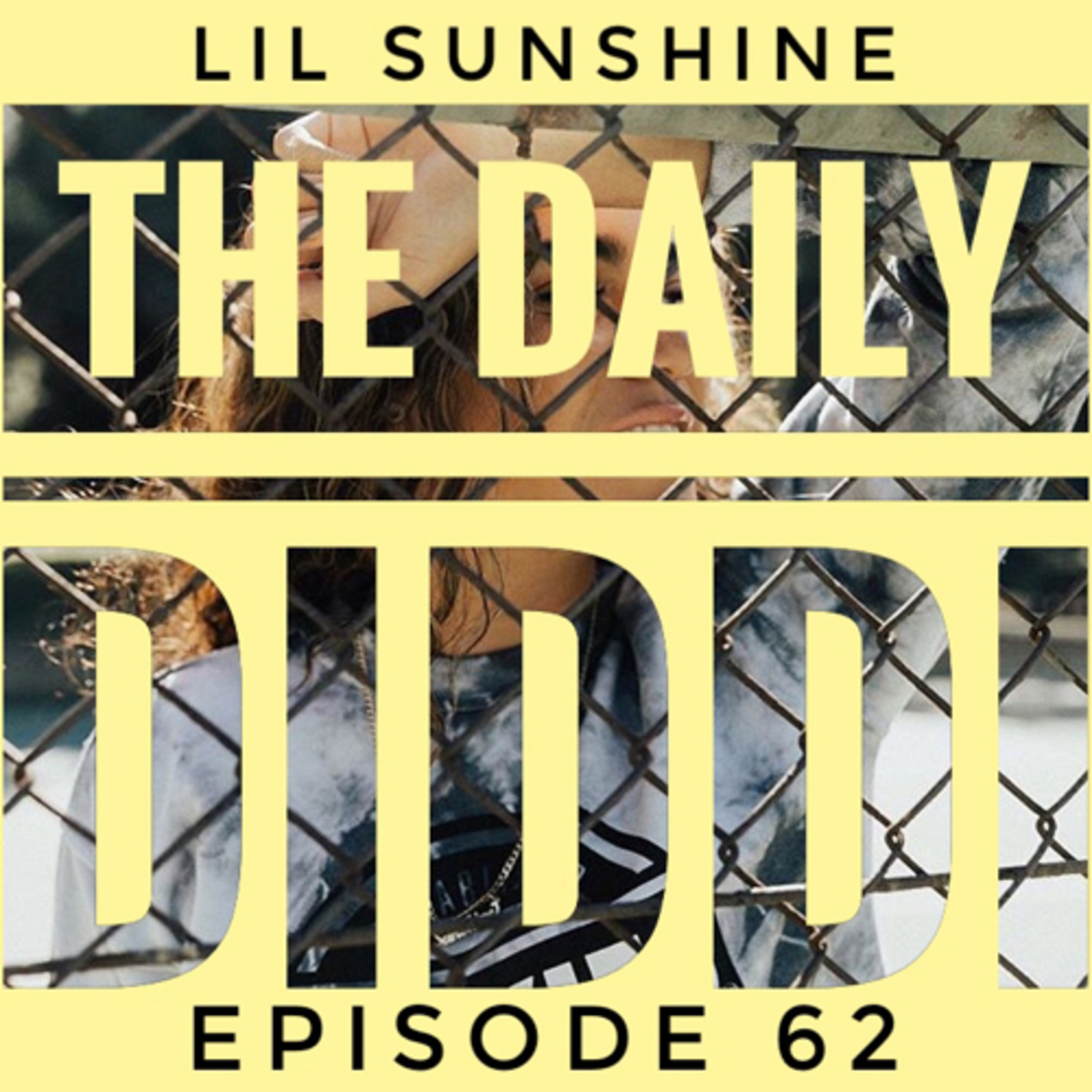 The Daily Diddi