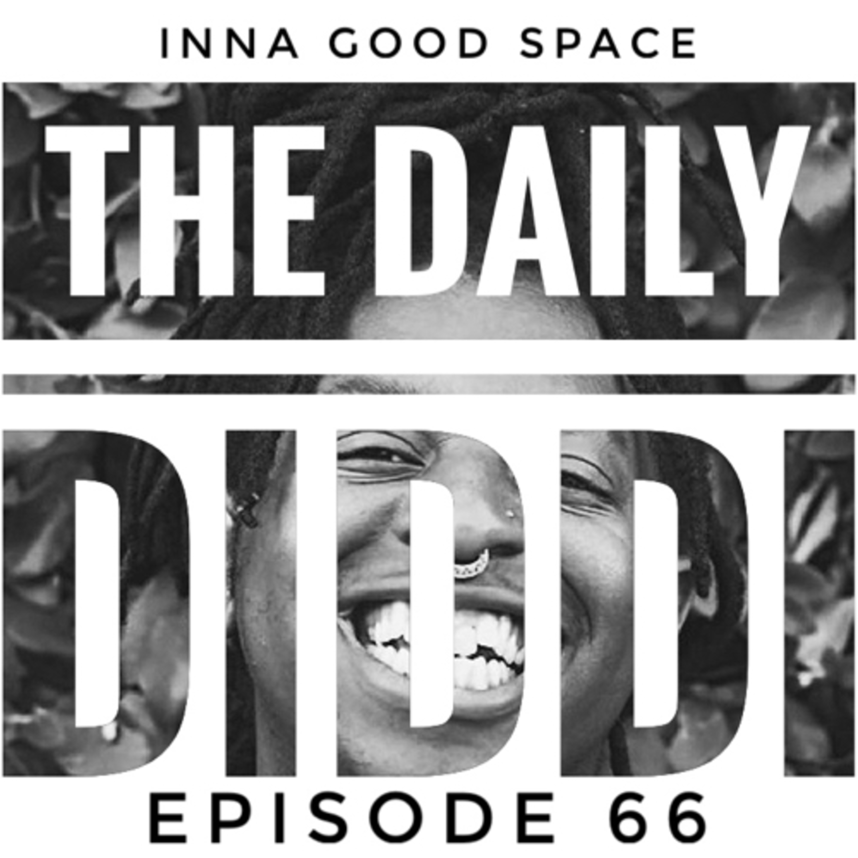 The Daily Diddi