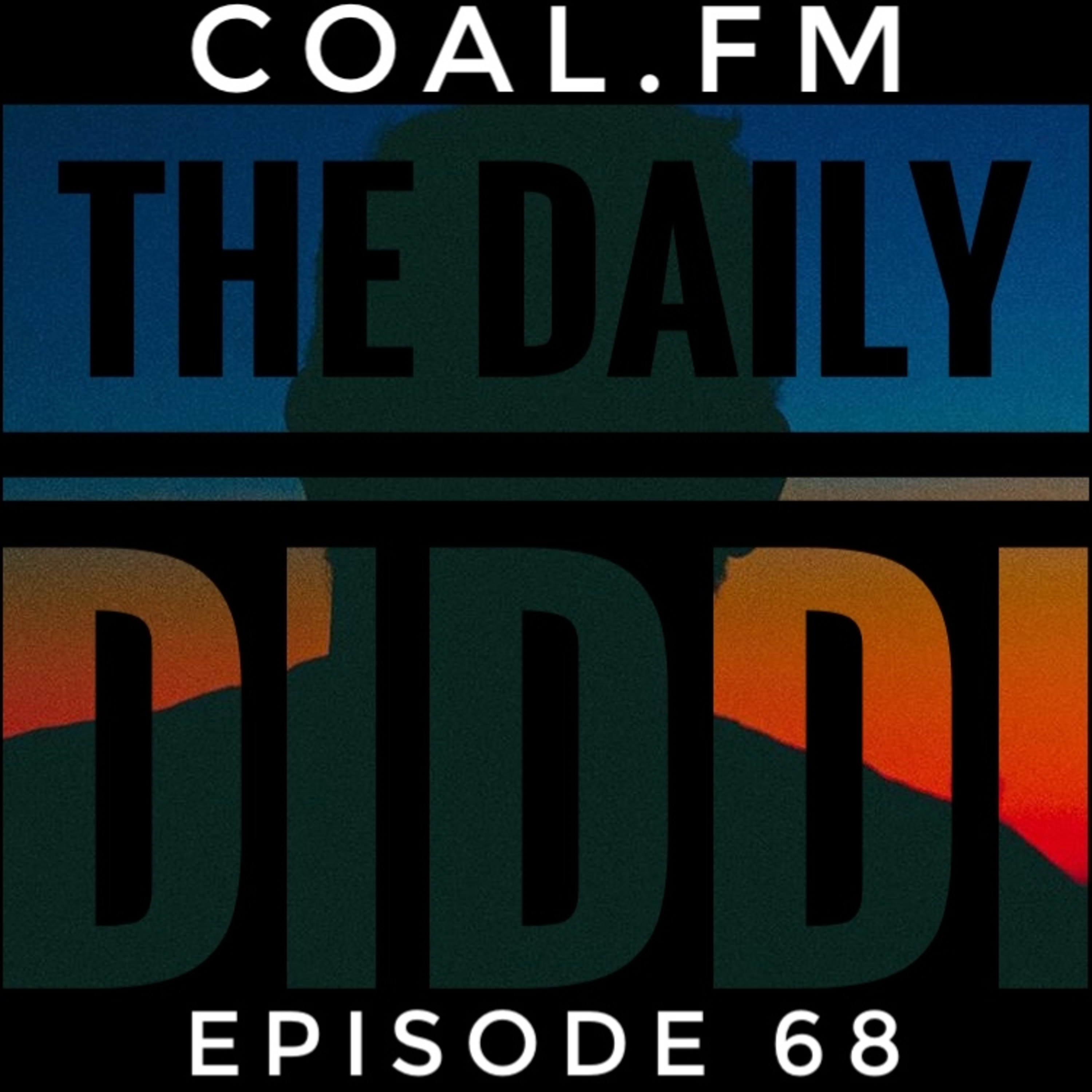 The Daily Diddi