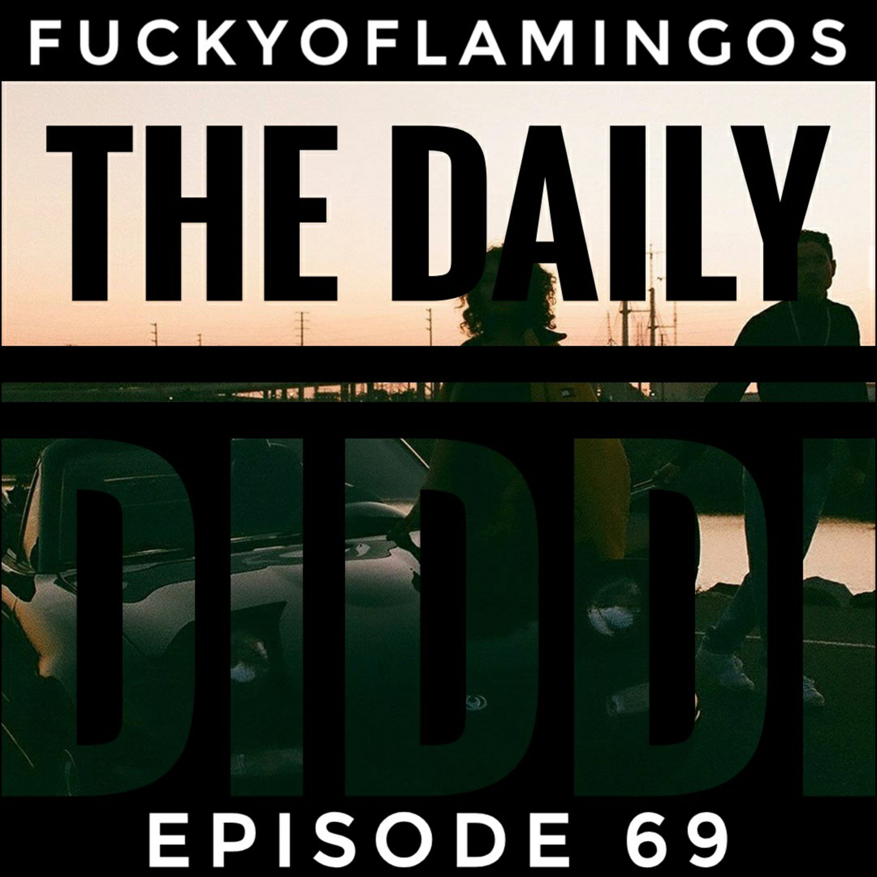 The Daily Diddi