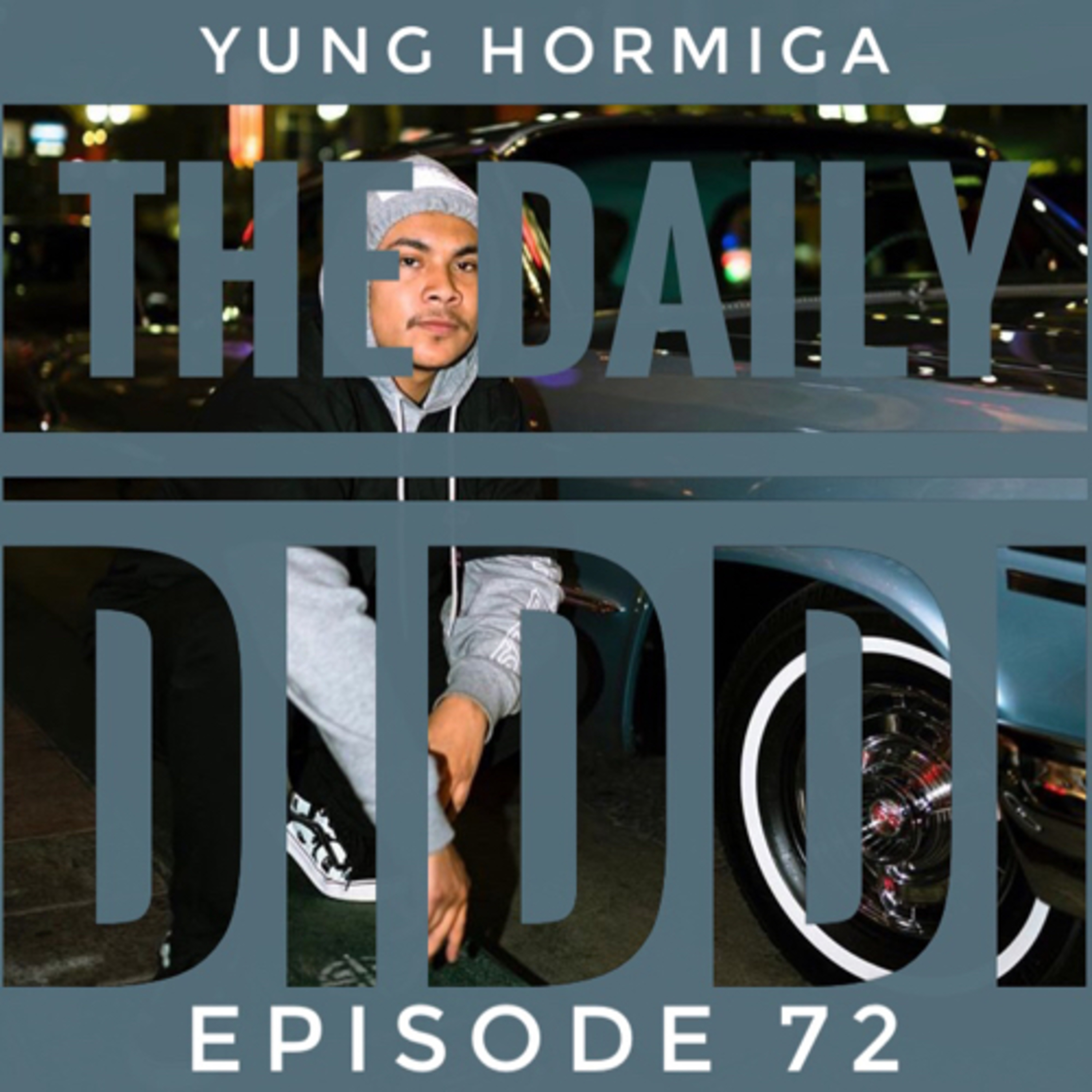 The Daily Diddi