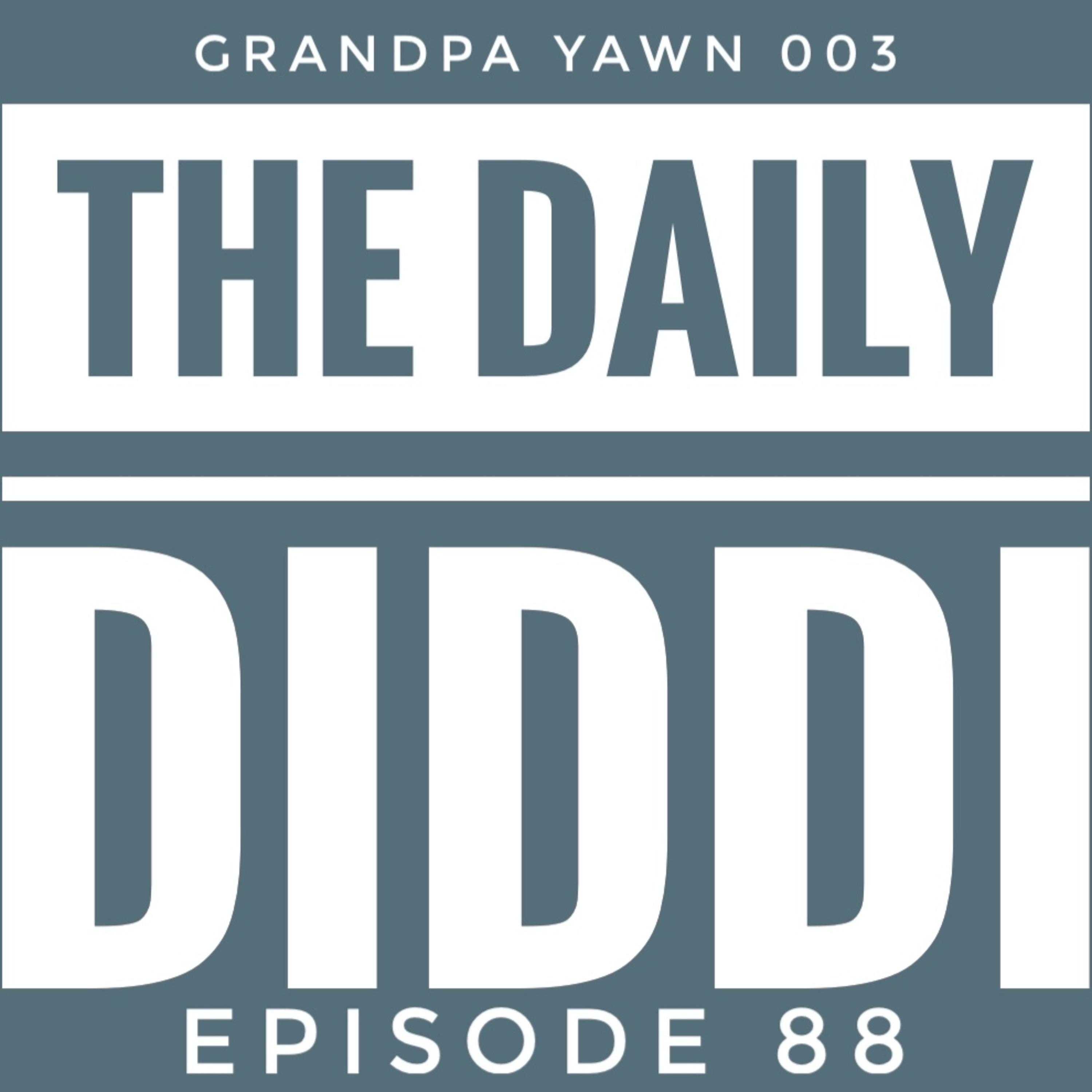 The Daily Diddi