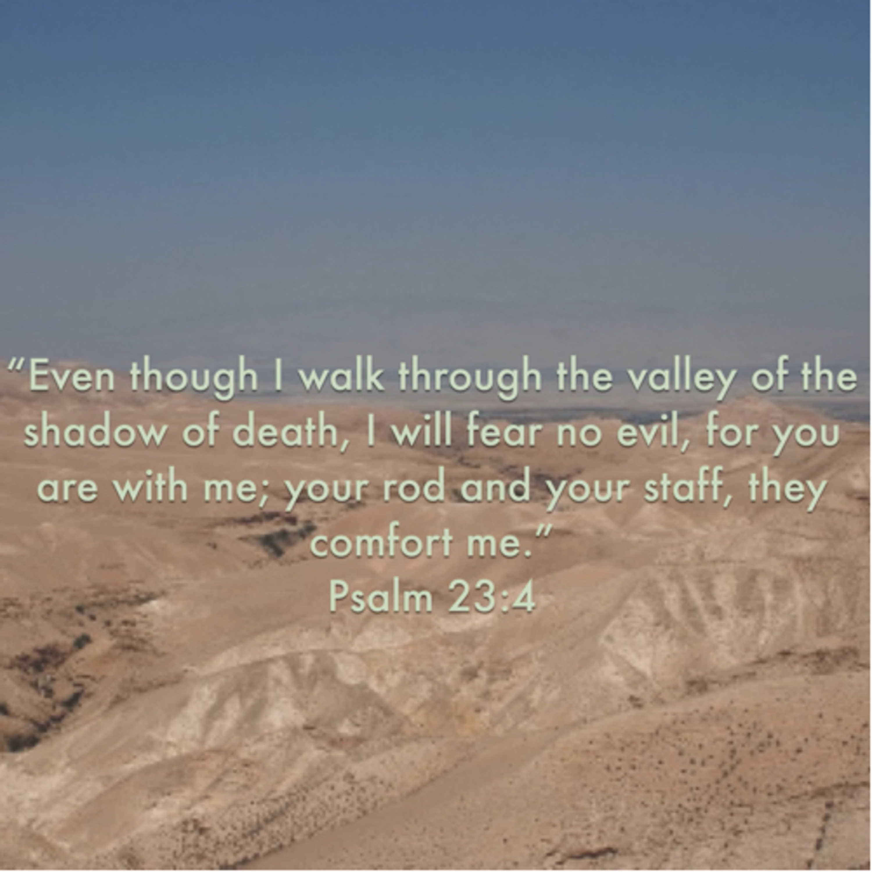 183. Provision In The Wilderness  episode artwork
