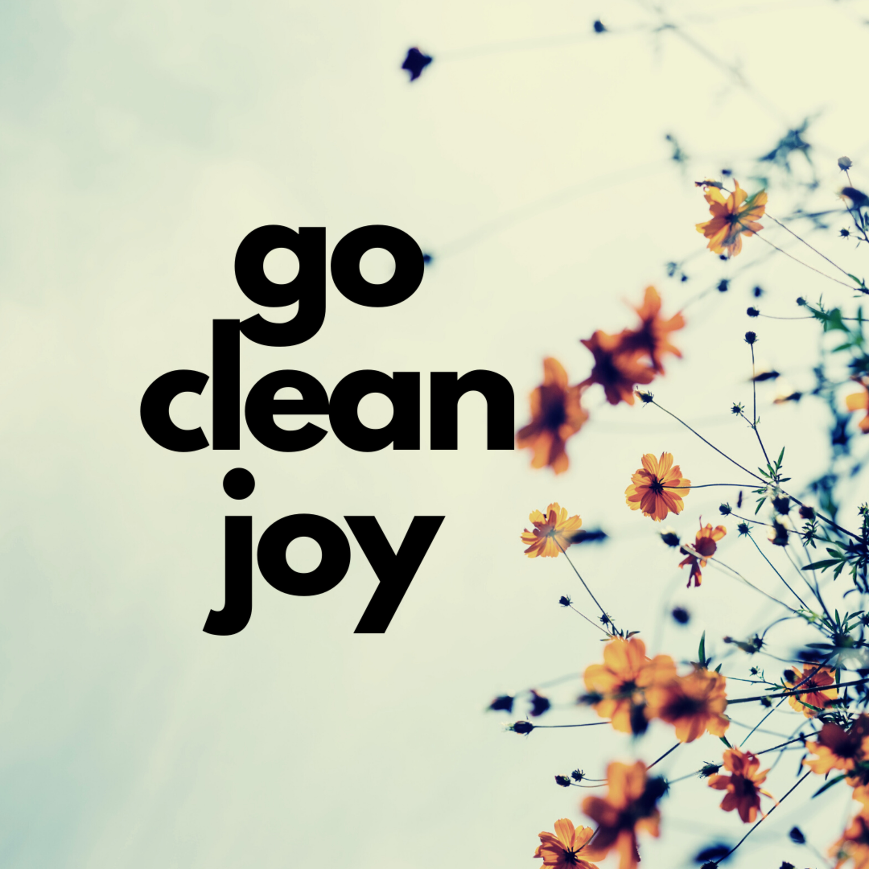 Go Clean Joy House Cleaning Tip Of The Day - Rags