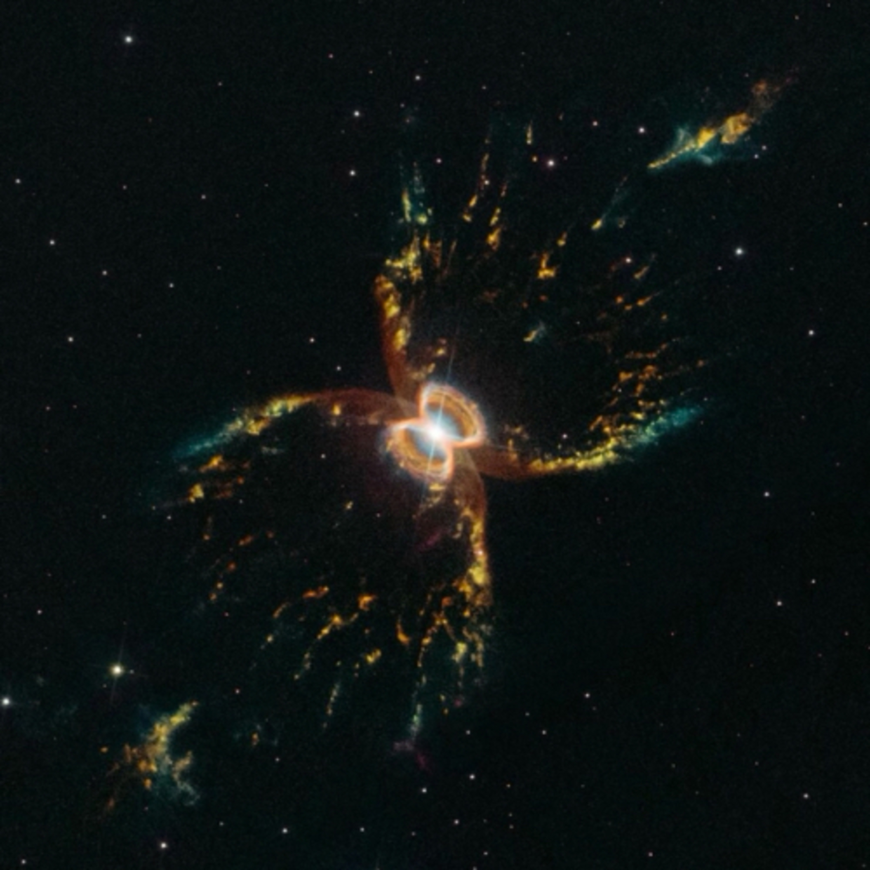 La vita nello Spazio