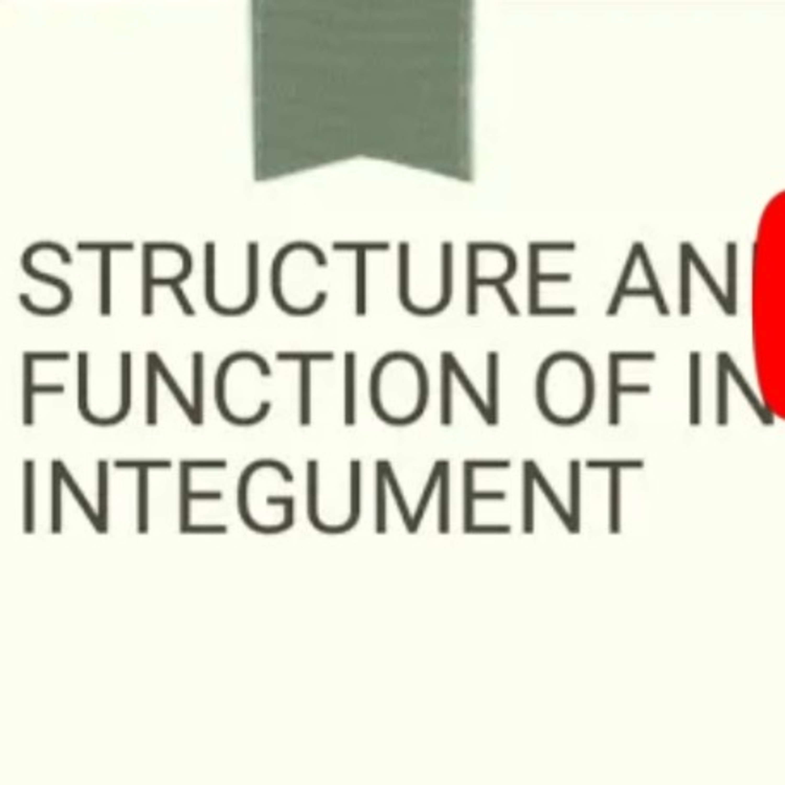 Insect integument