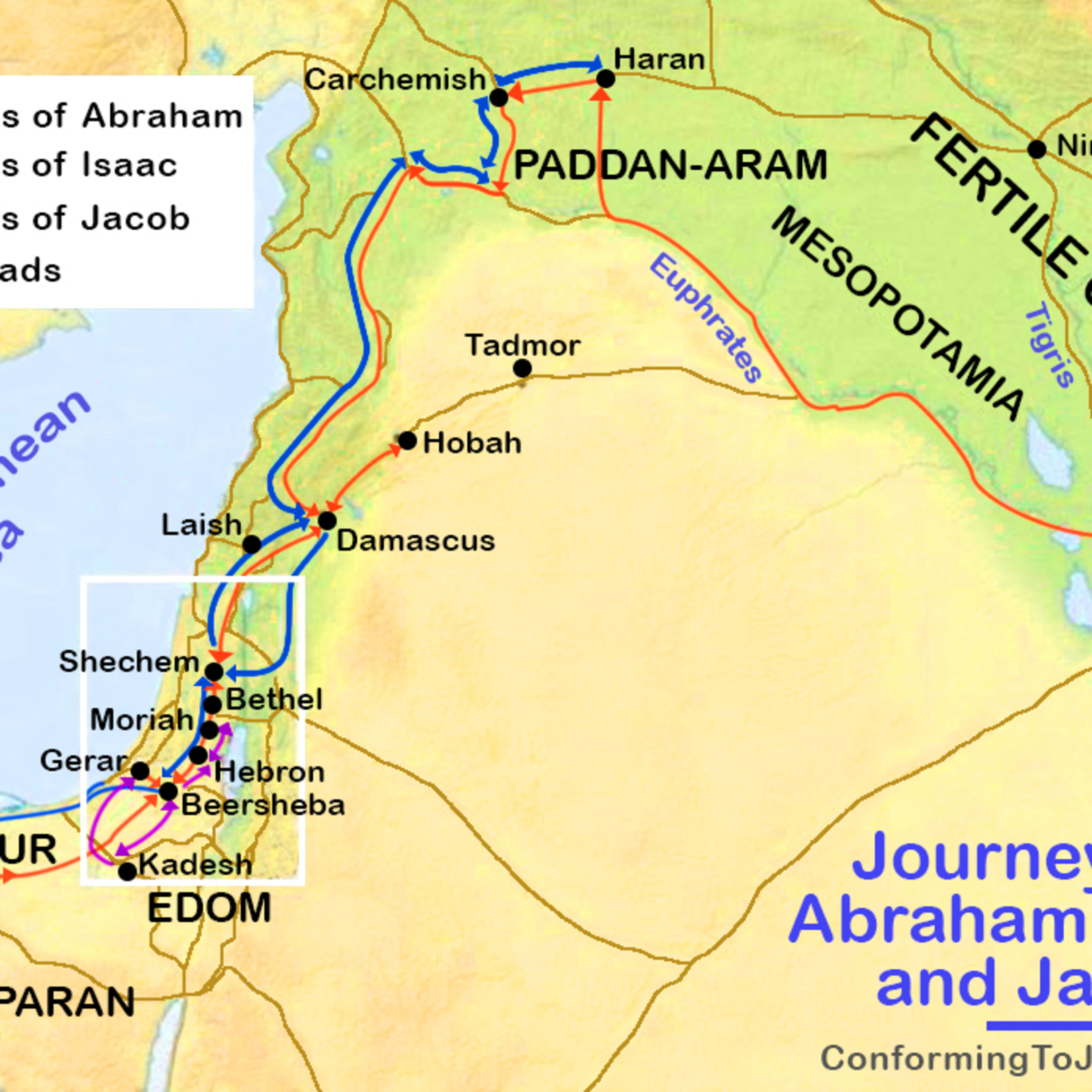 God’s Little Hummingbird: Bible Time (Messianic )