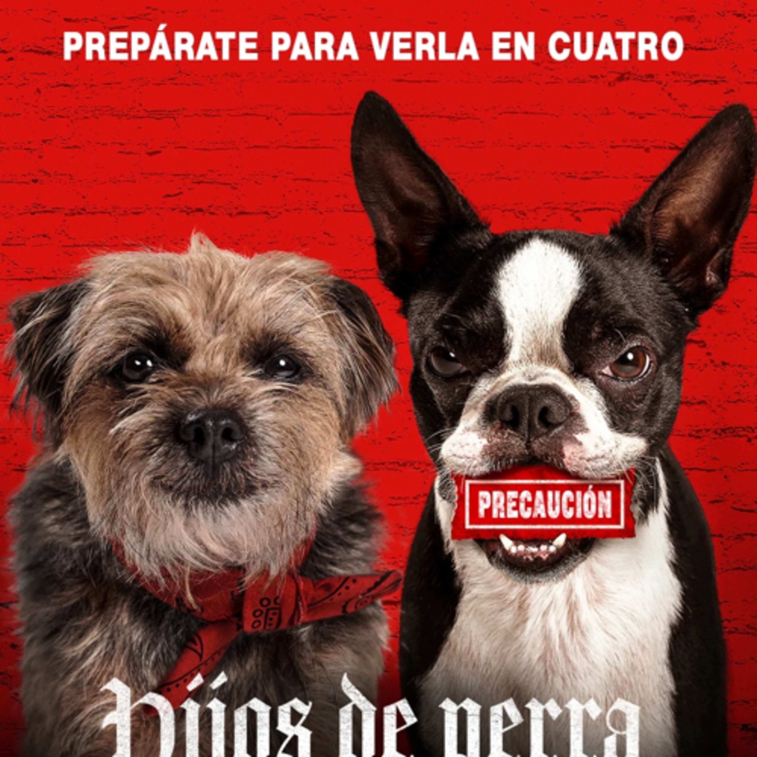 Hijos de perra  episode artwork