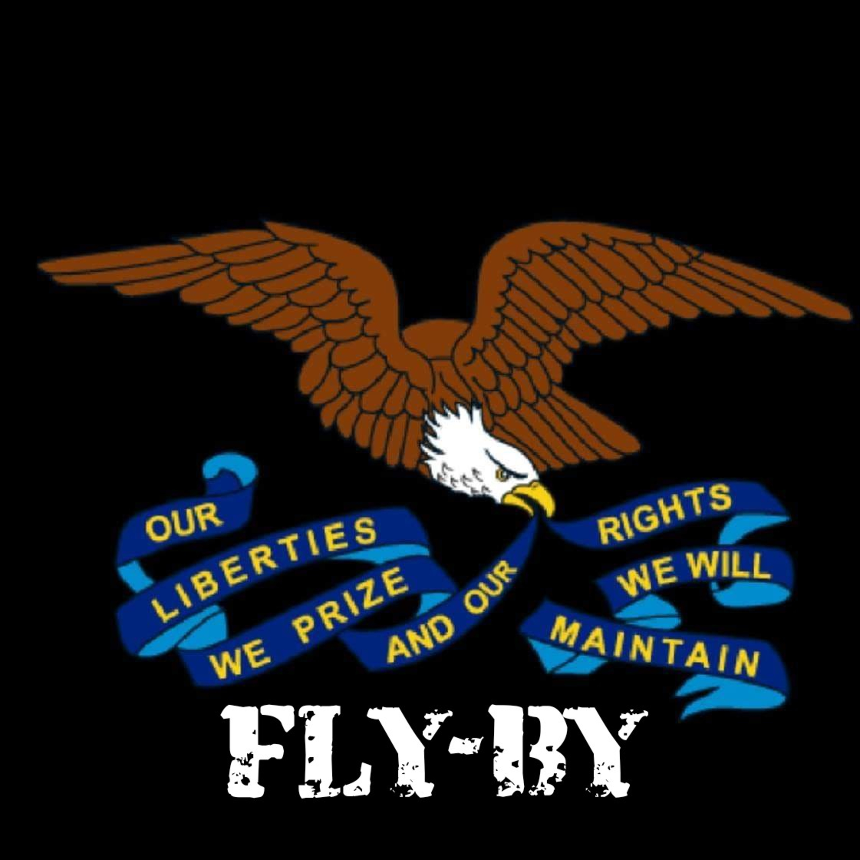 Fly-by 1: Thick Libertariansim, Thin Libertarianism, and Thick Thinnism episode artwork