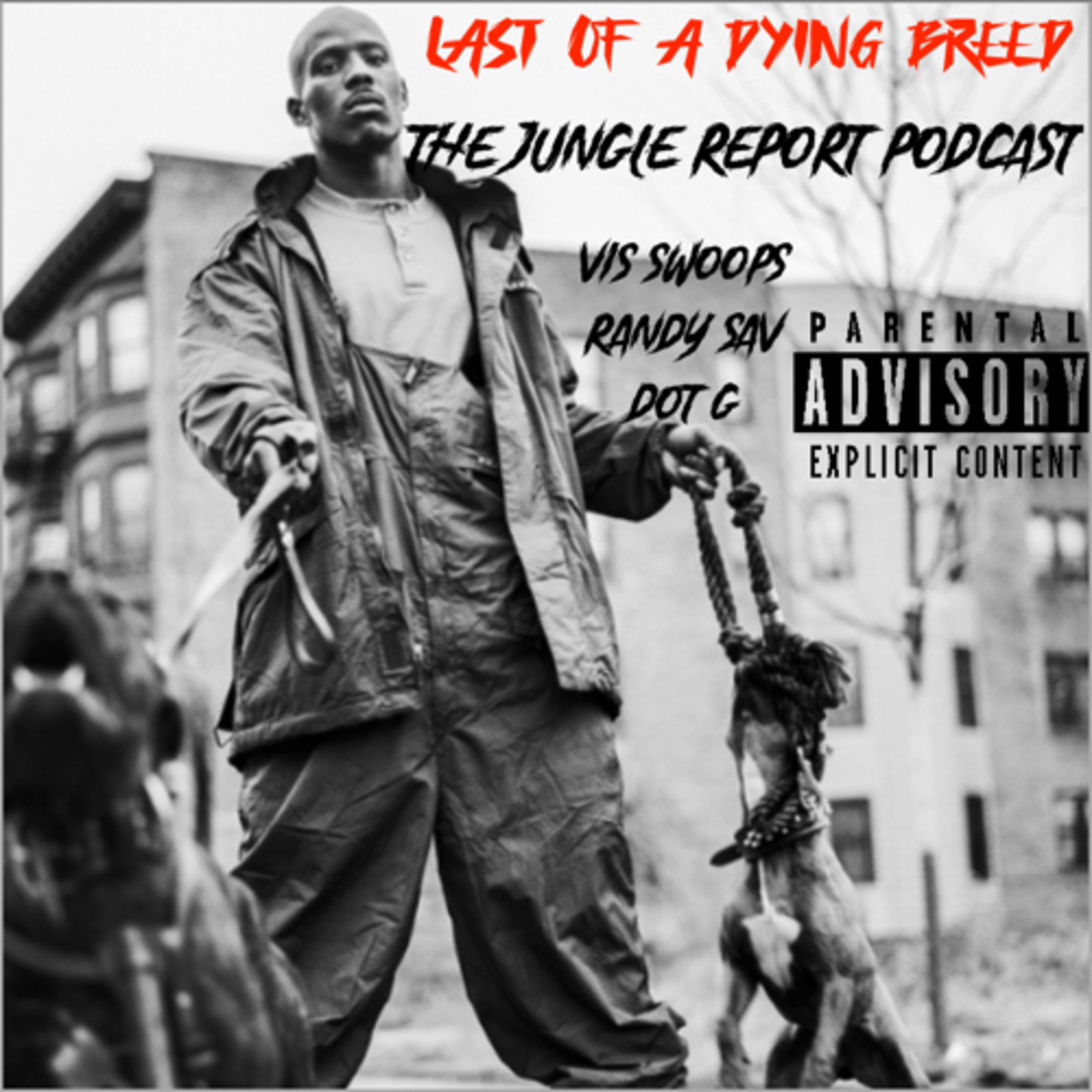 The Jungle Report Podcast