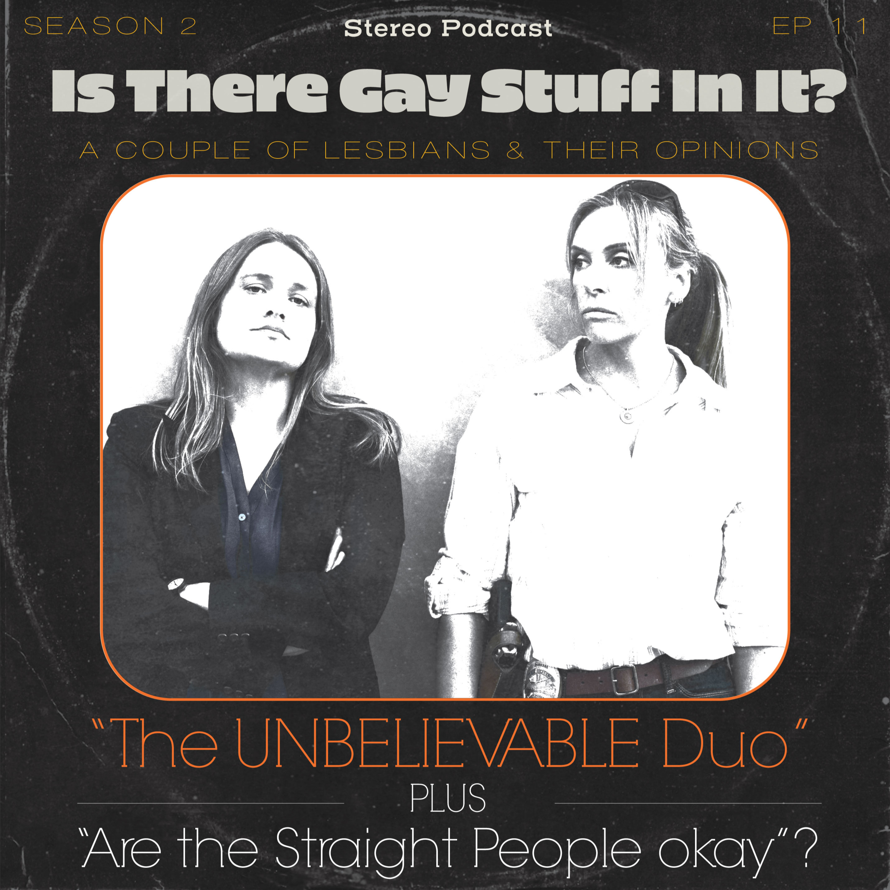 Is There Gay Stuff In It?
