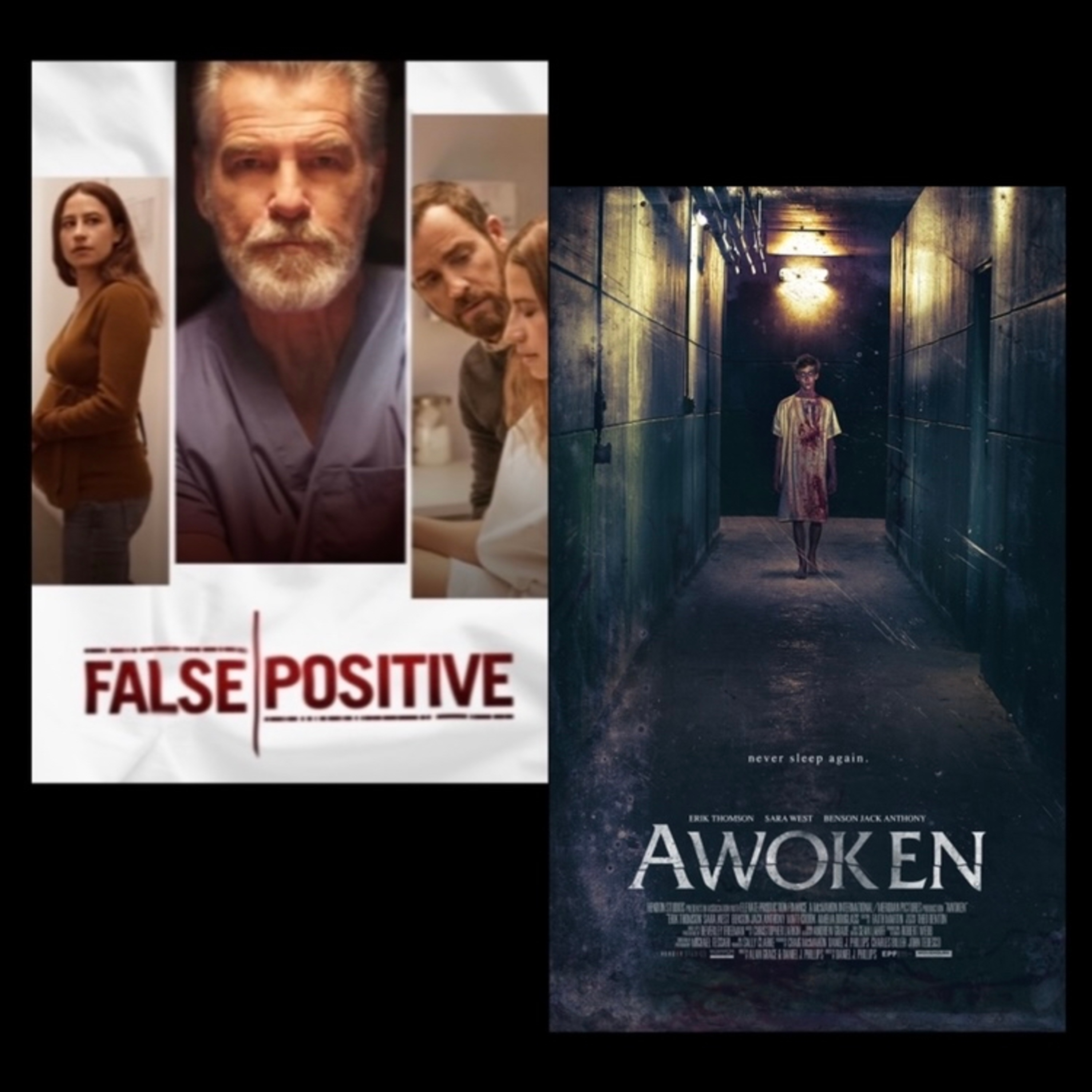 False Positive (2021) & Awoken (2019) episode artwork