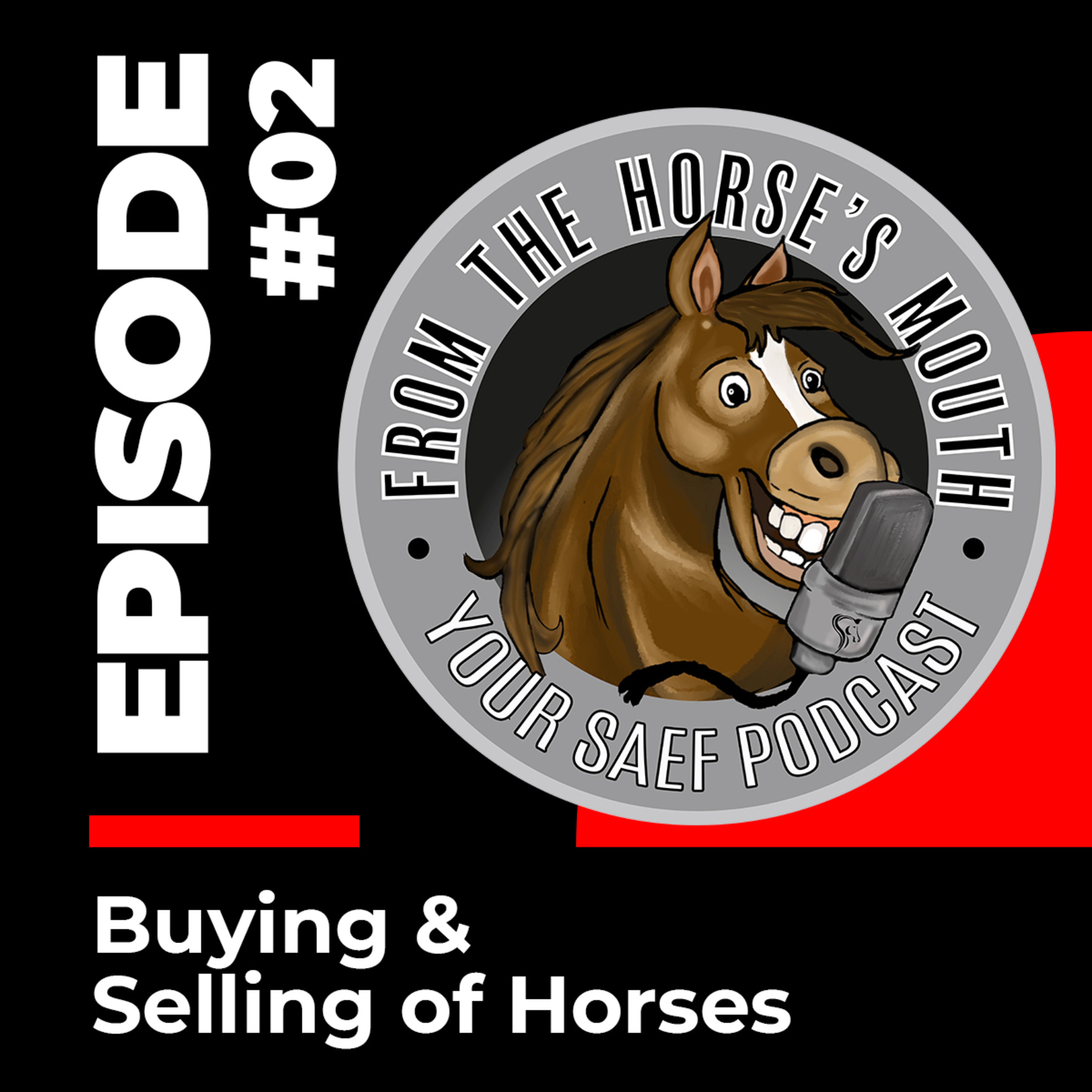 From the Horse\'s Mouth