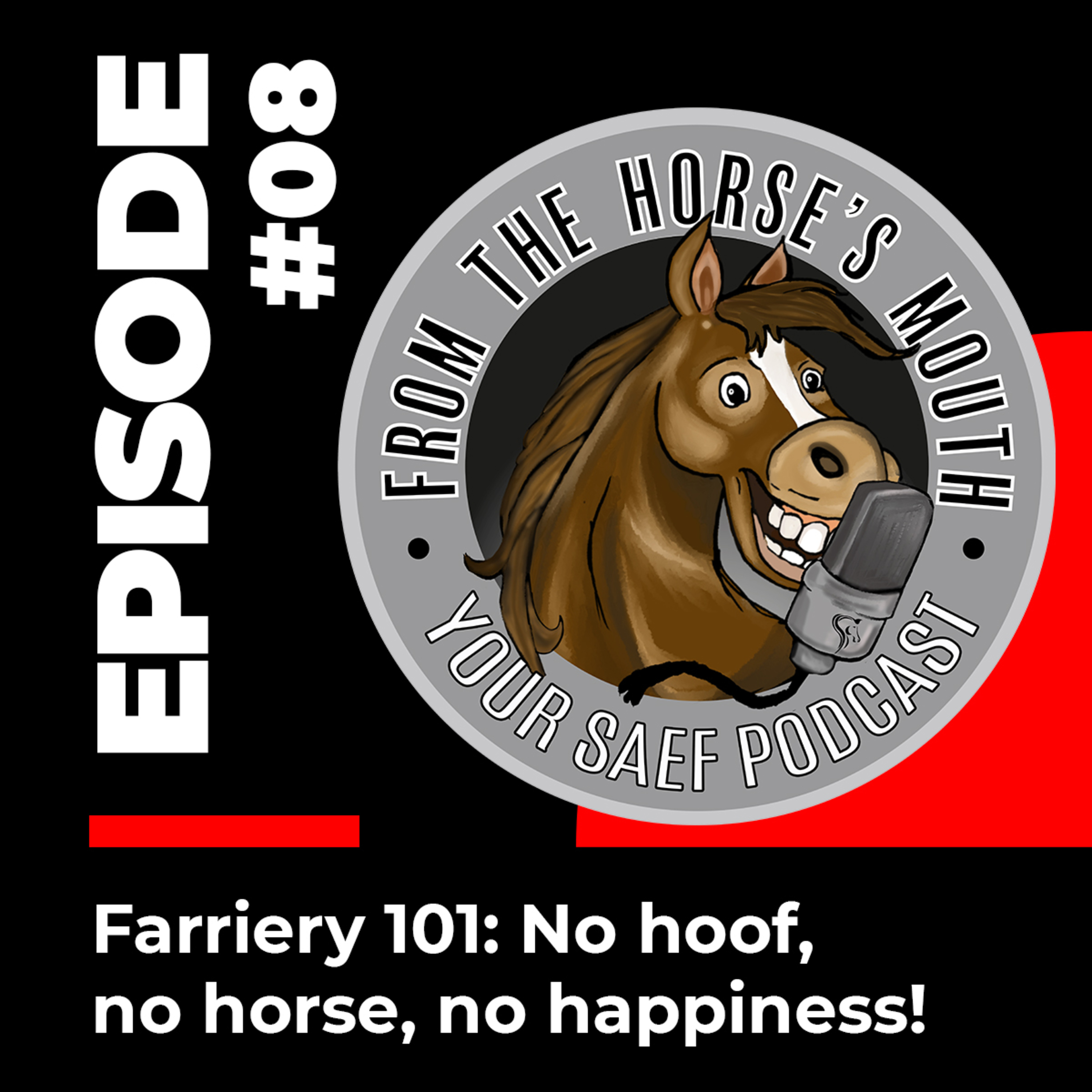 From the Horse\'s Mouth