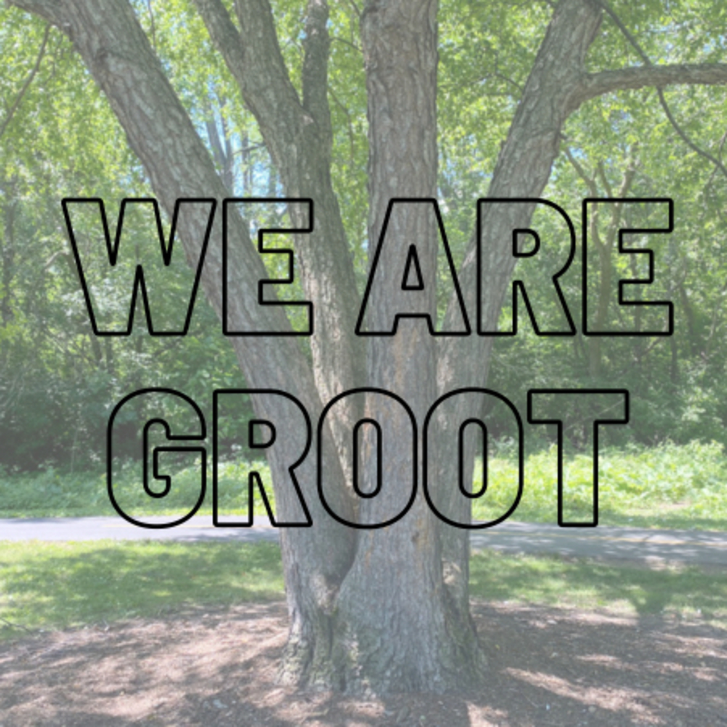 We Are Groot episode artwork