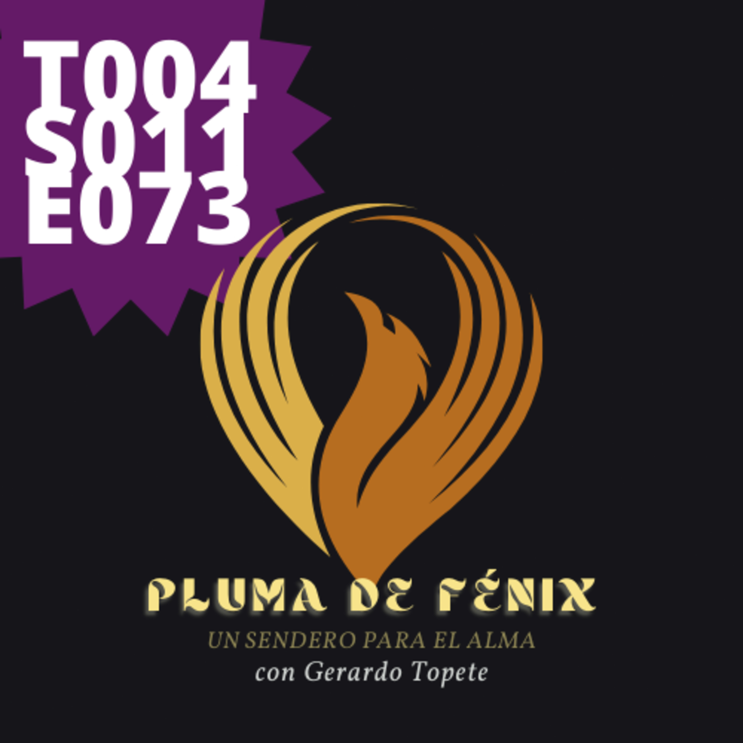 Portada de Pluma de Fénix