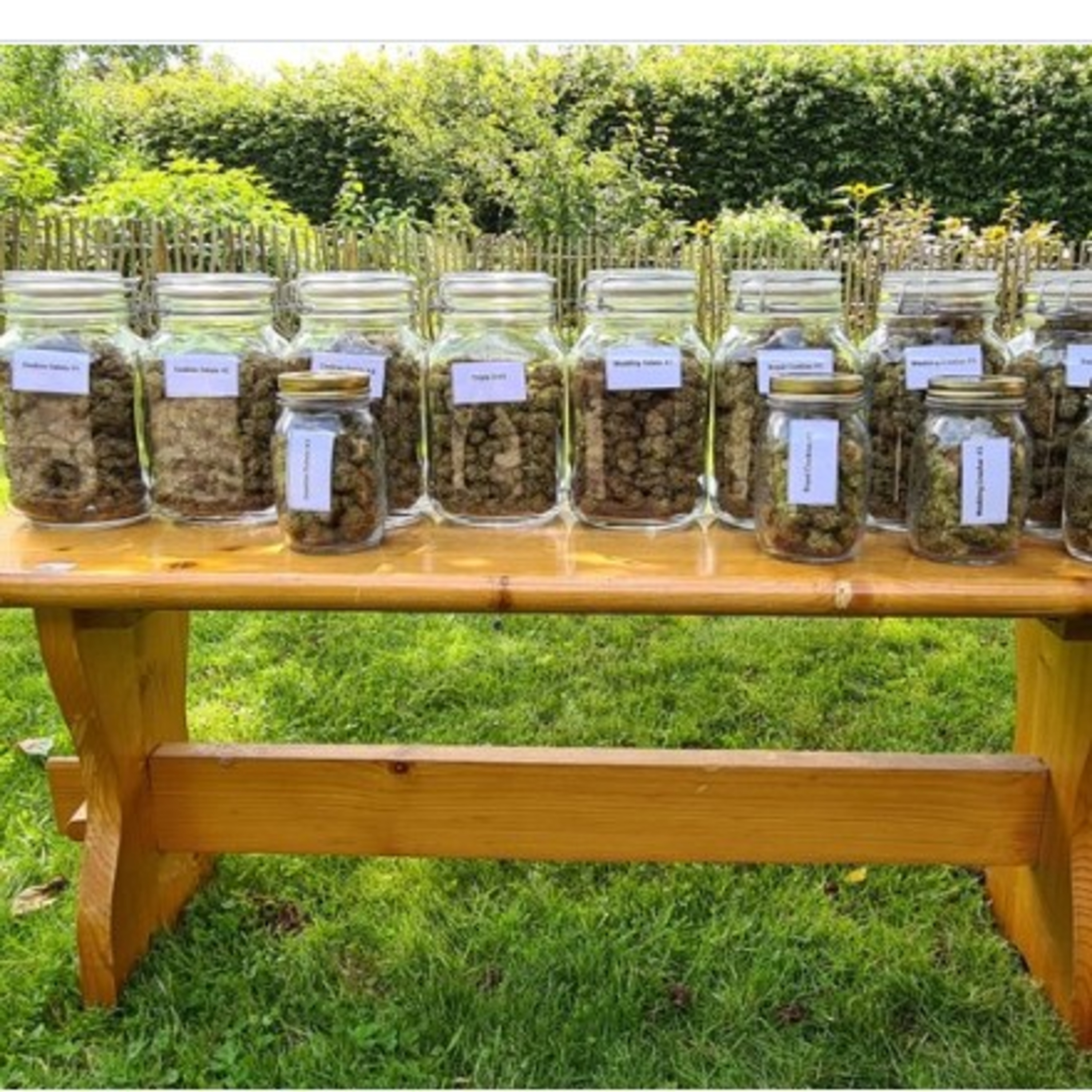 Sunday Spirituality Speech- Herbal shop