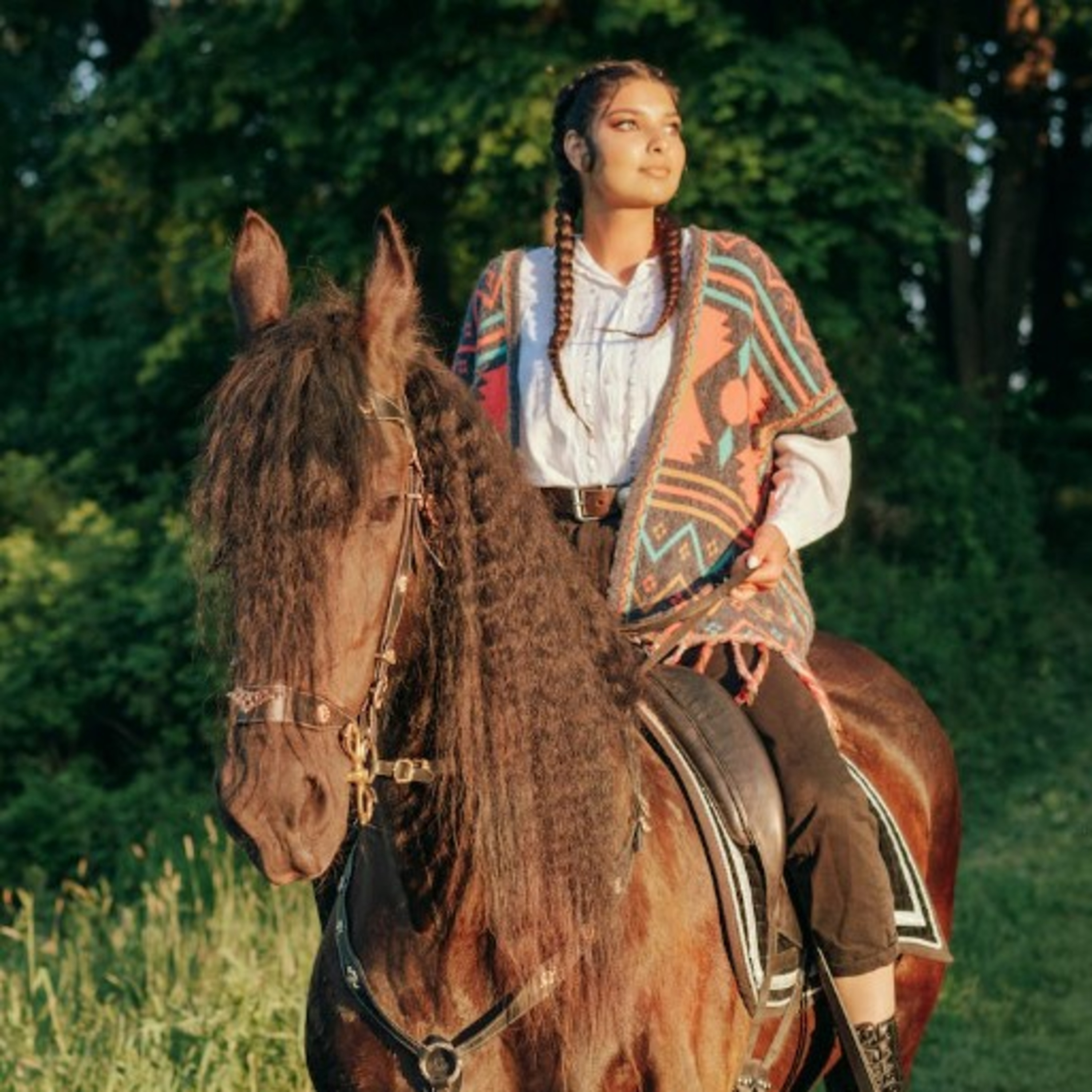 Horse Excursions -summer 2023