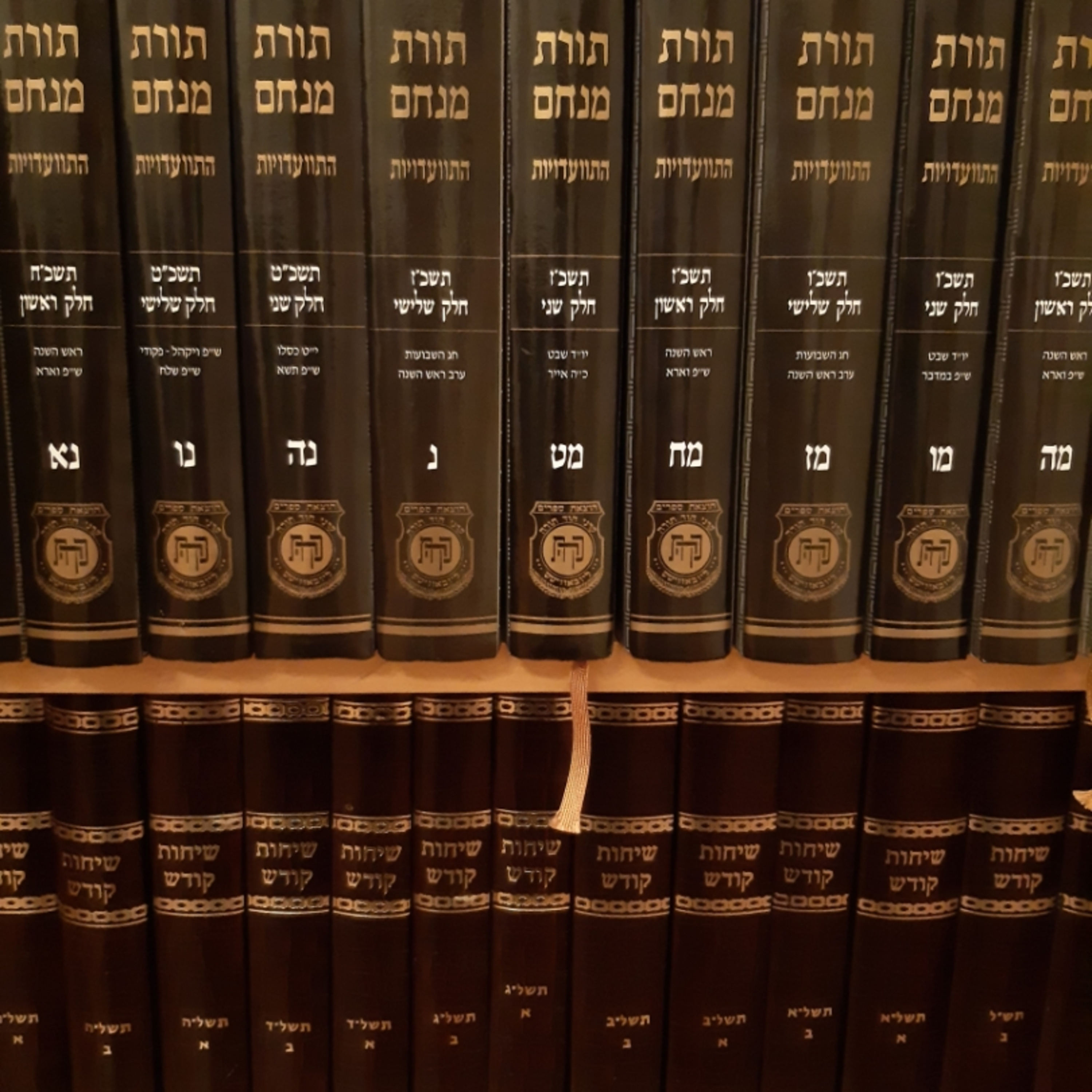 The Rebbe\'s Sichos Translated