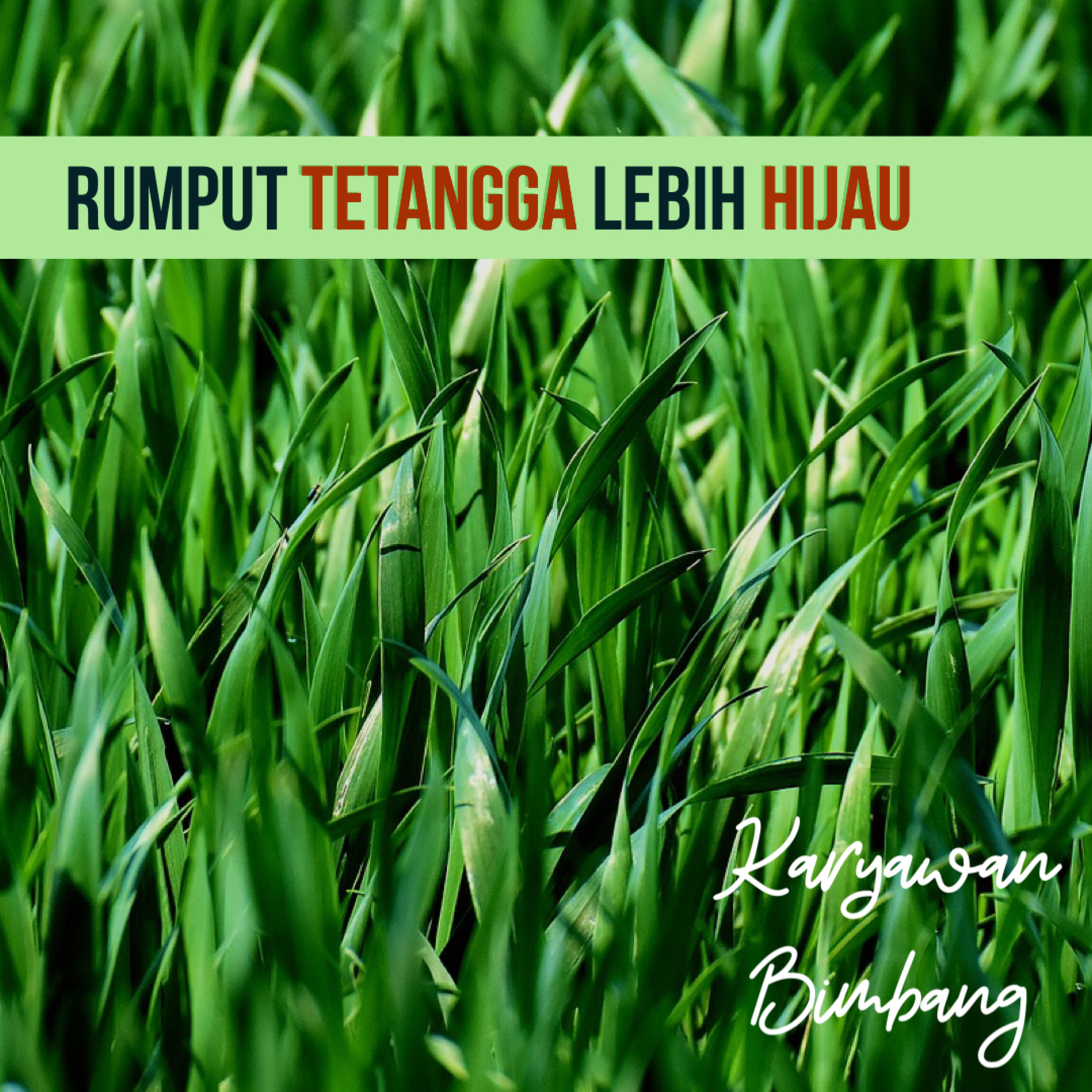 Karyawan Bimbang