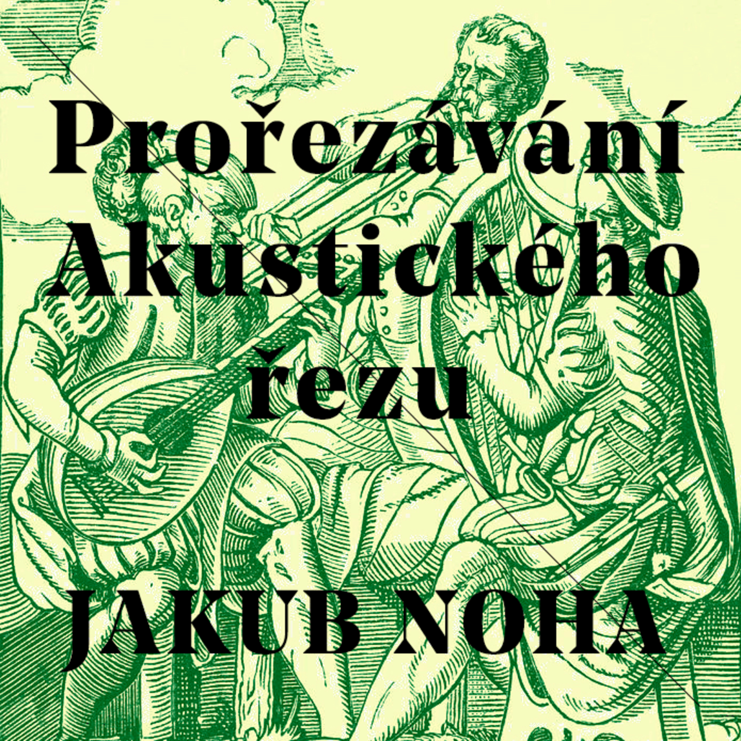 Prořezávání Akustického řezu