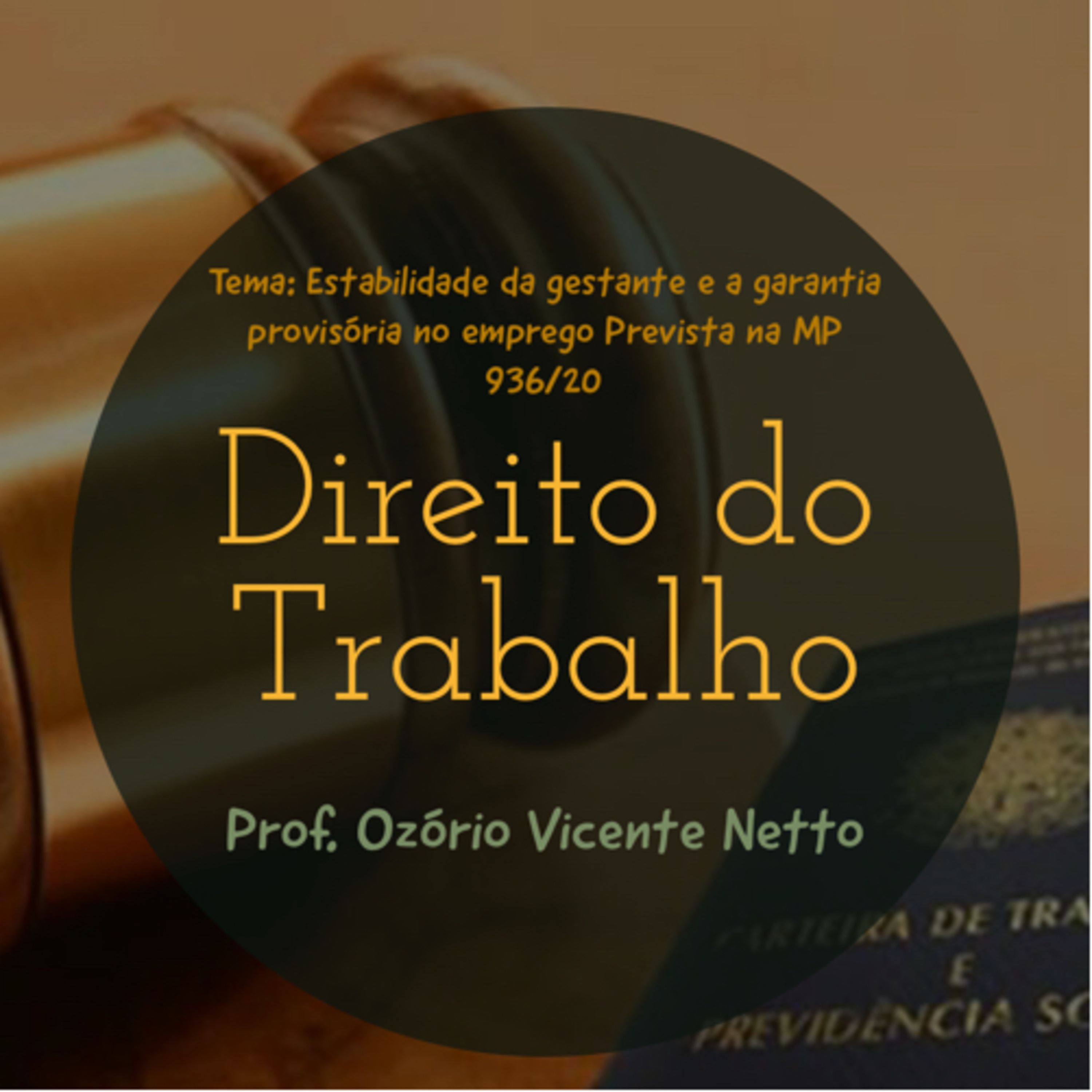 Direito em Temas