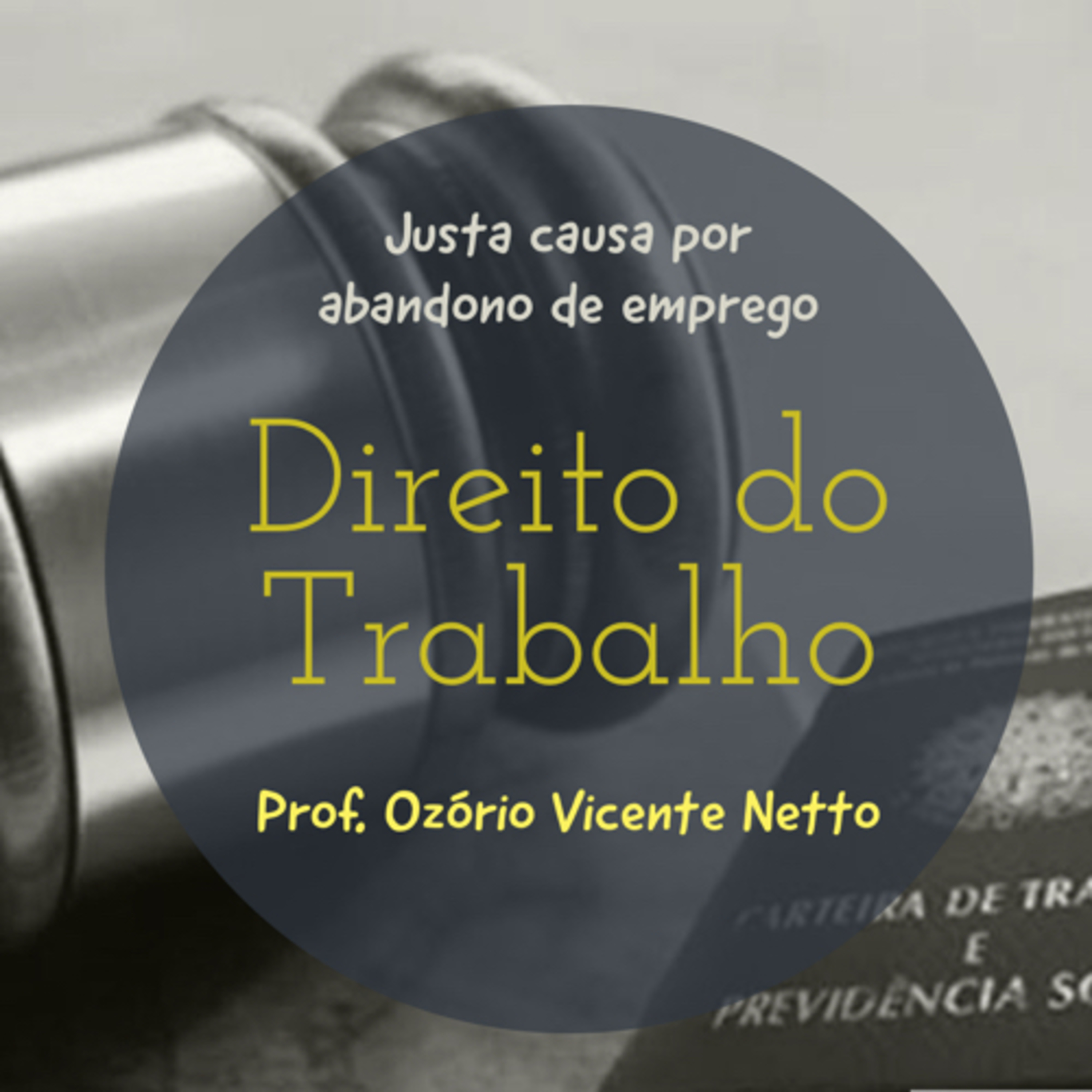 Direito em Temas