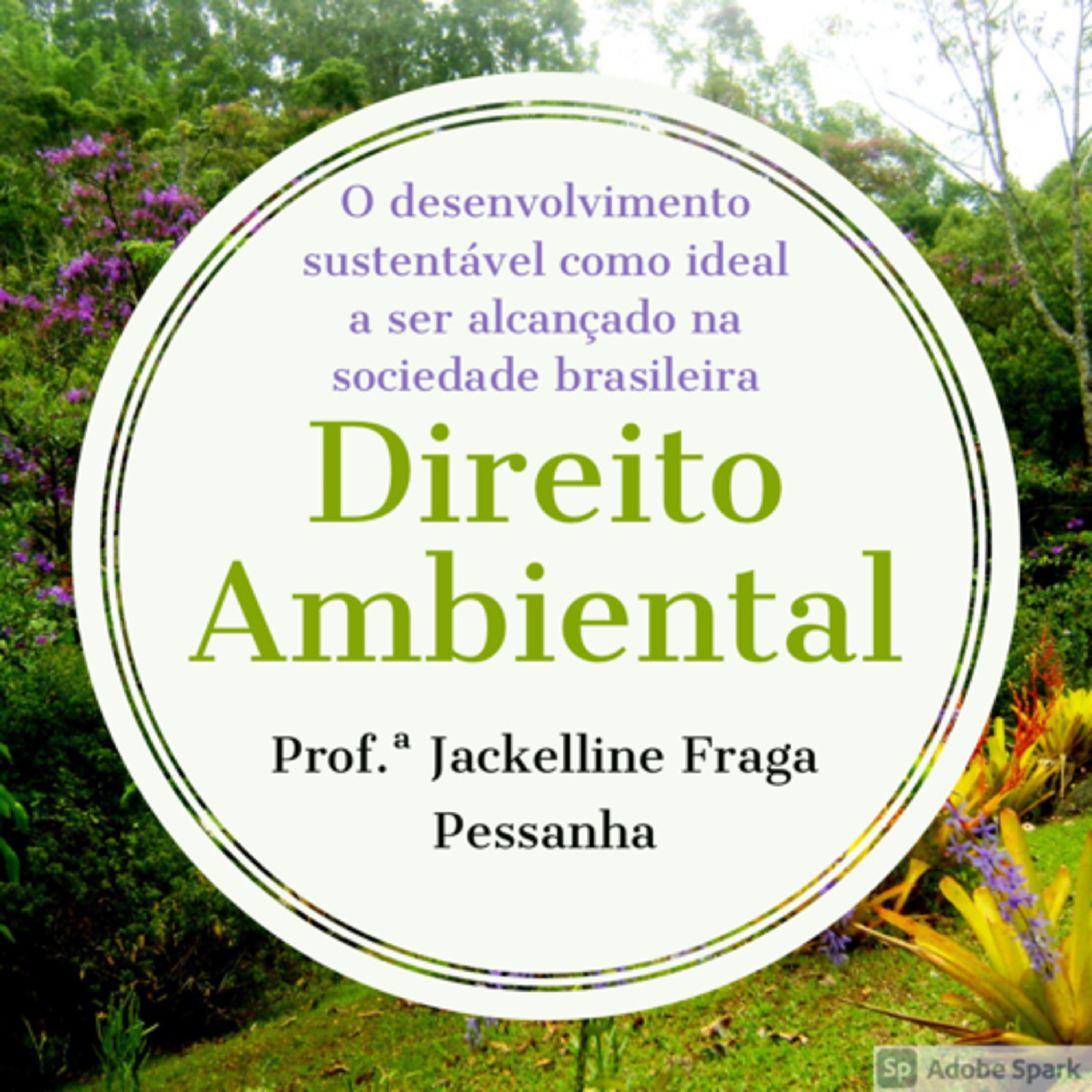 Direito em Temas