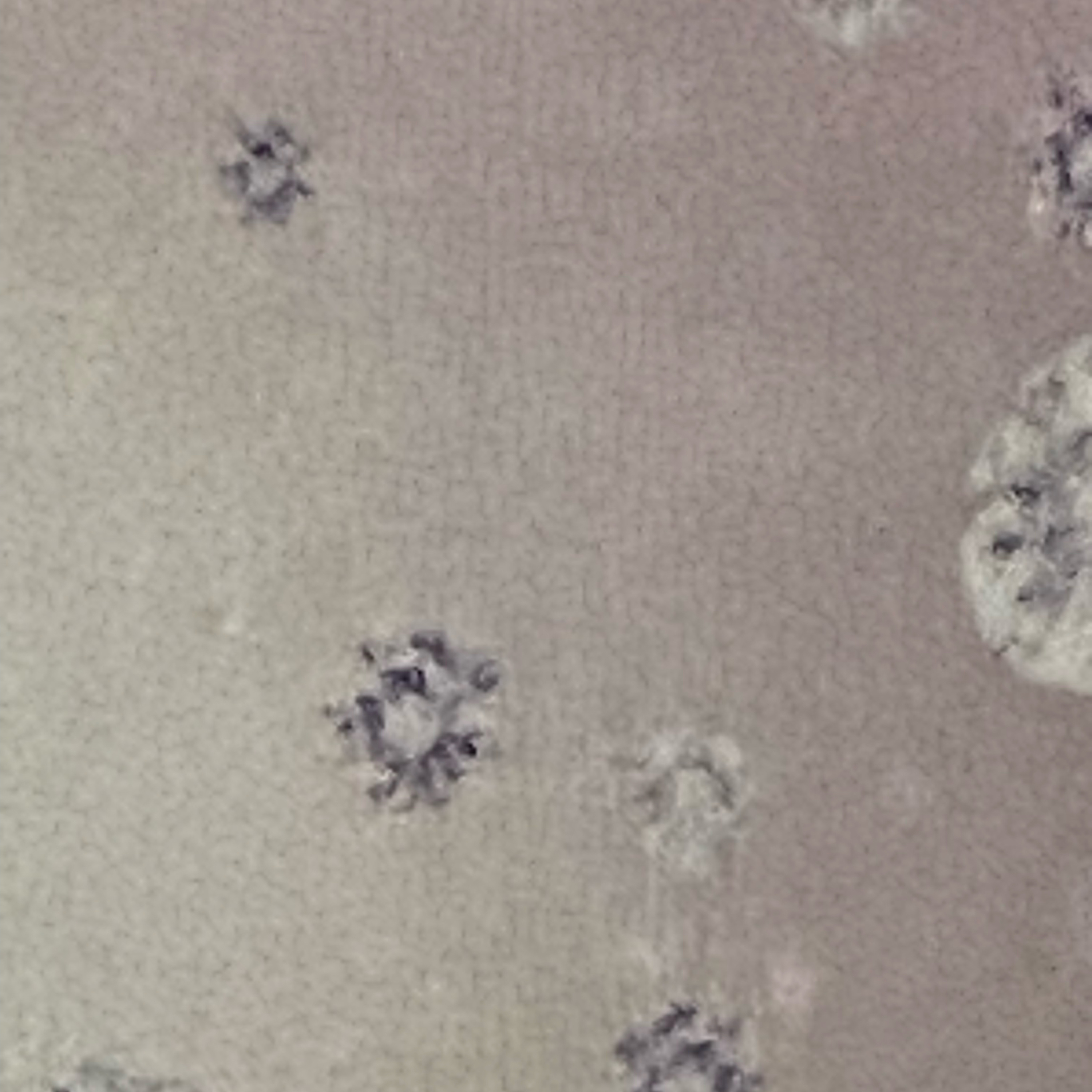 45. Prolog  episode artwork