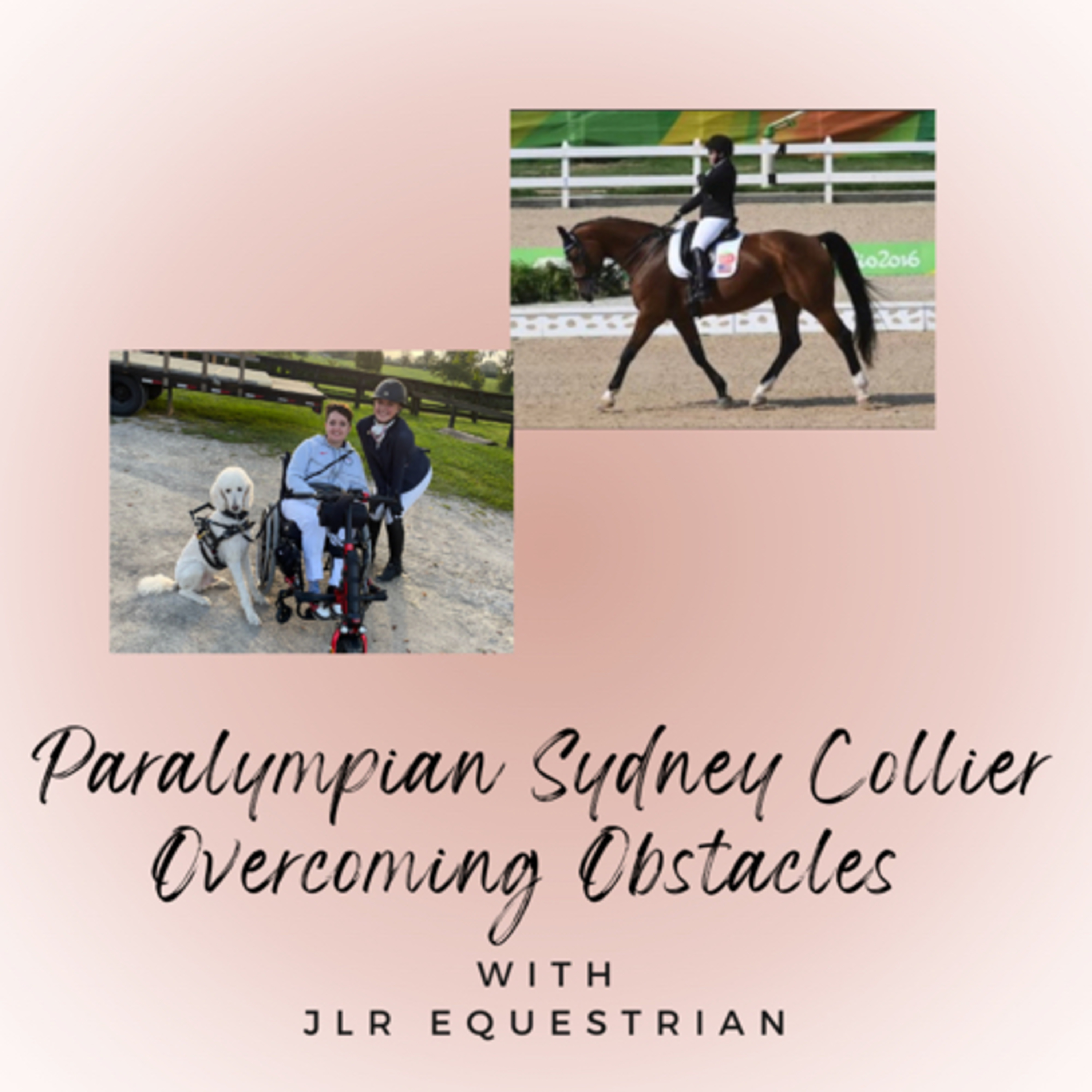 JLR Equestrian