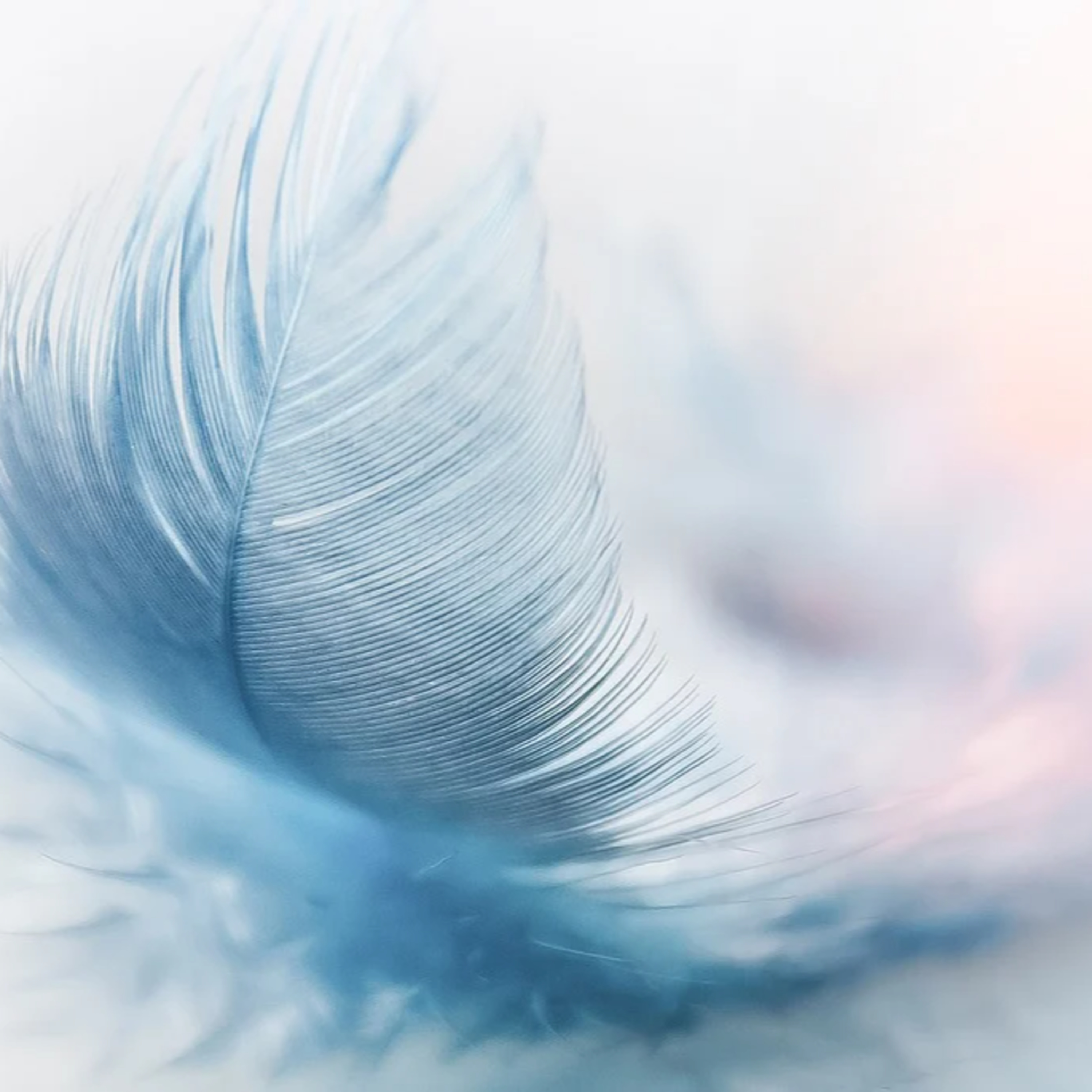 The Light Work Podcast with Aishling Mooney Spiritual Biz Mentor and Angel Intuitive