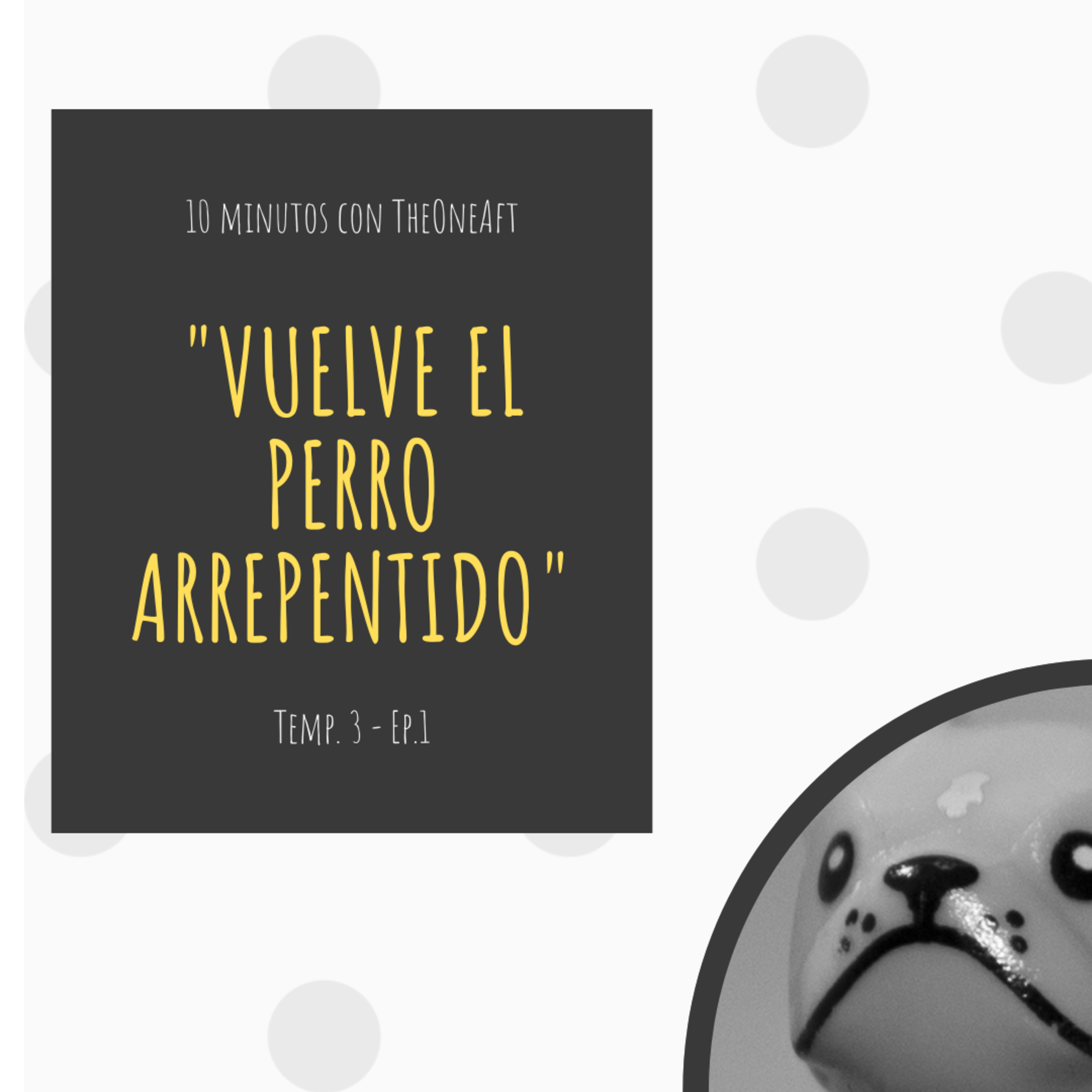 T3. E1. Vuelve el perro arrepentido😲