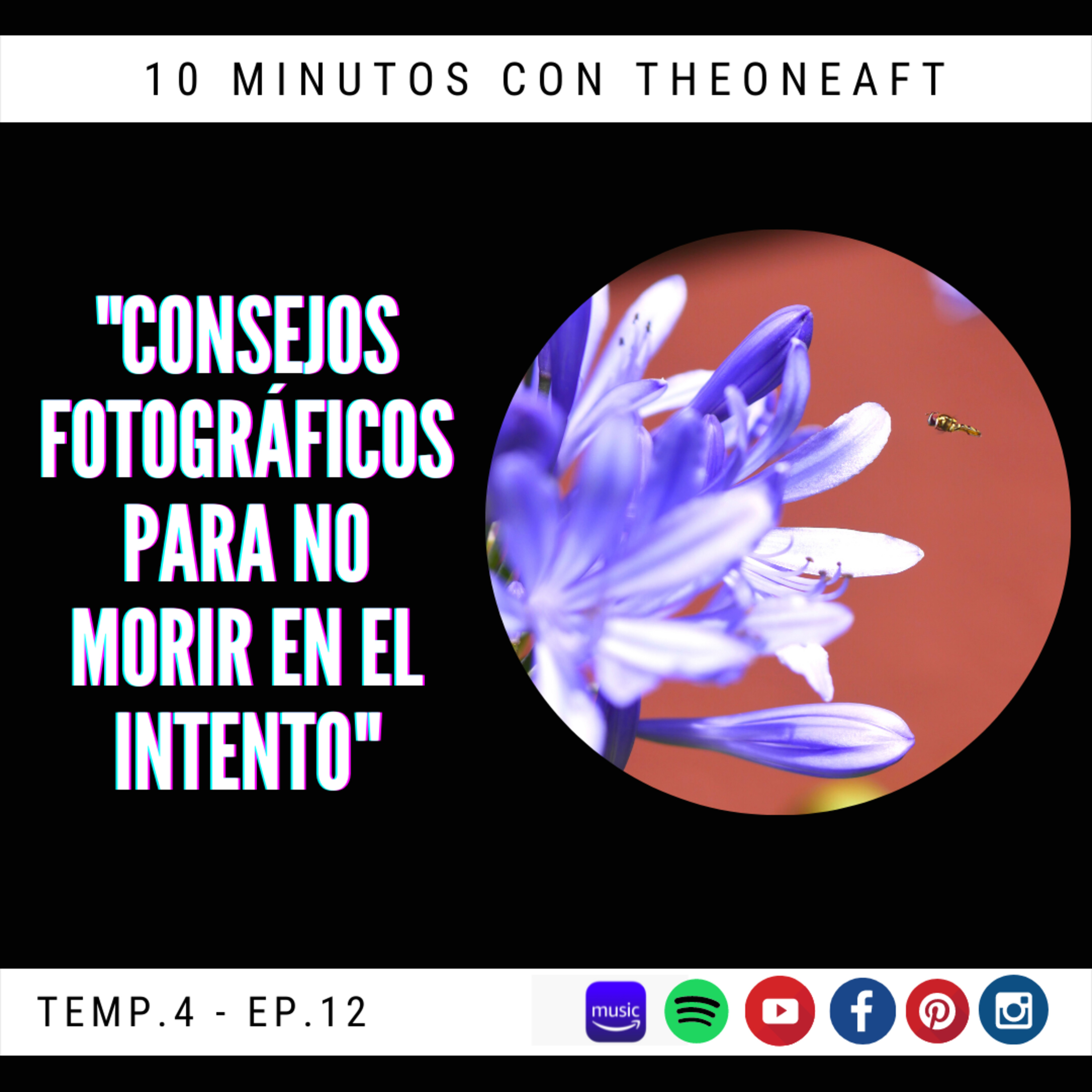 T4. E12. Consejos fotográficos para no morir en el intento  episode artwork