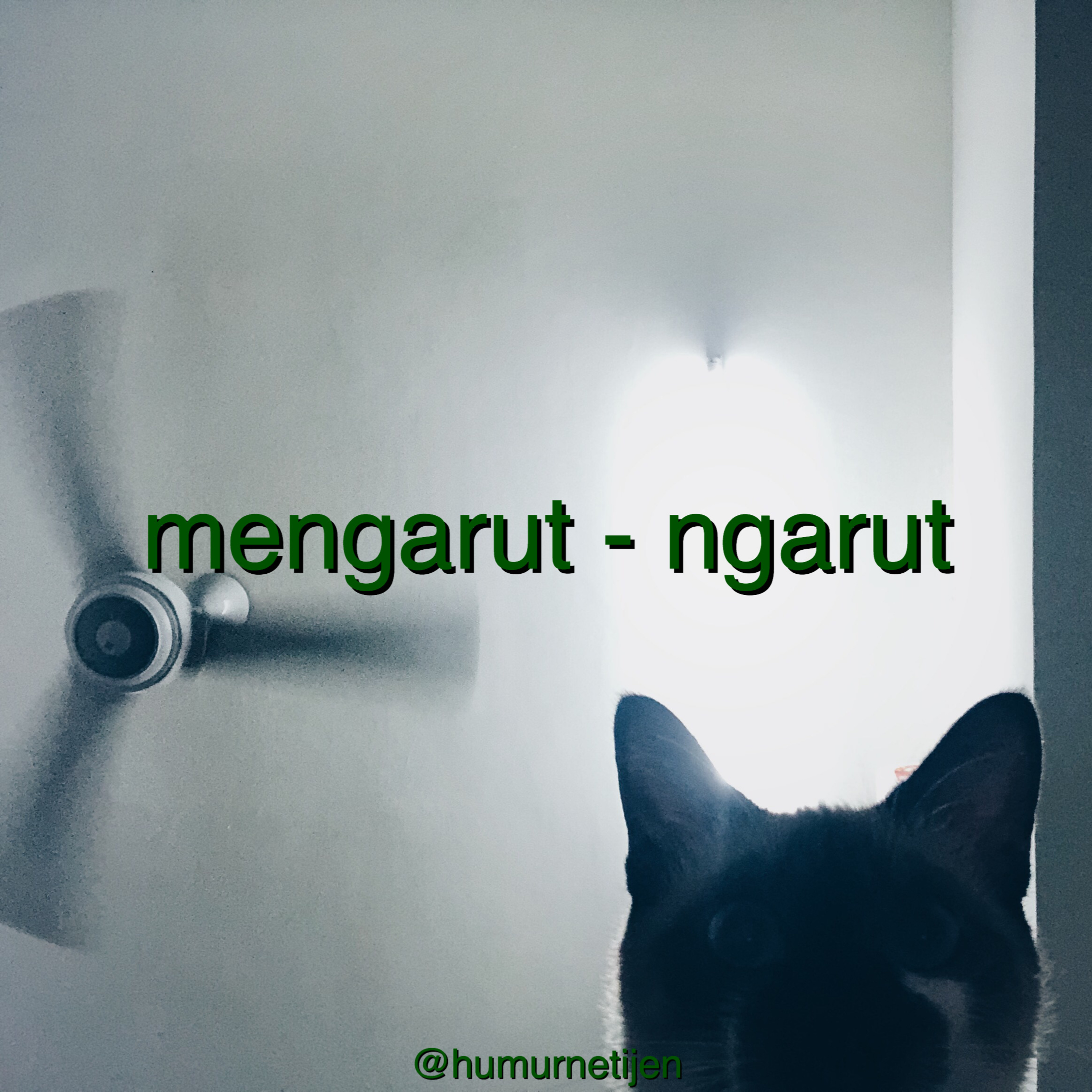 humurnetijen