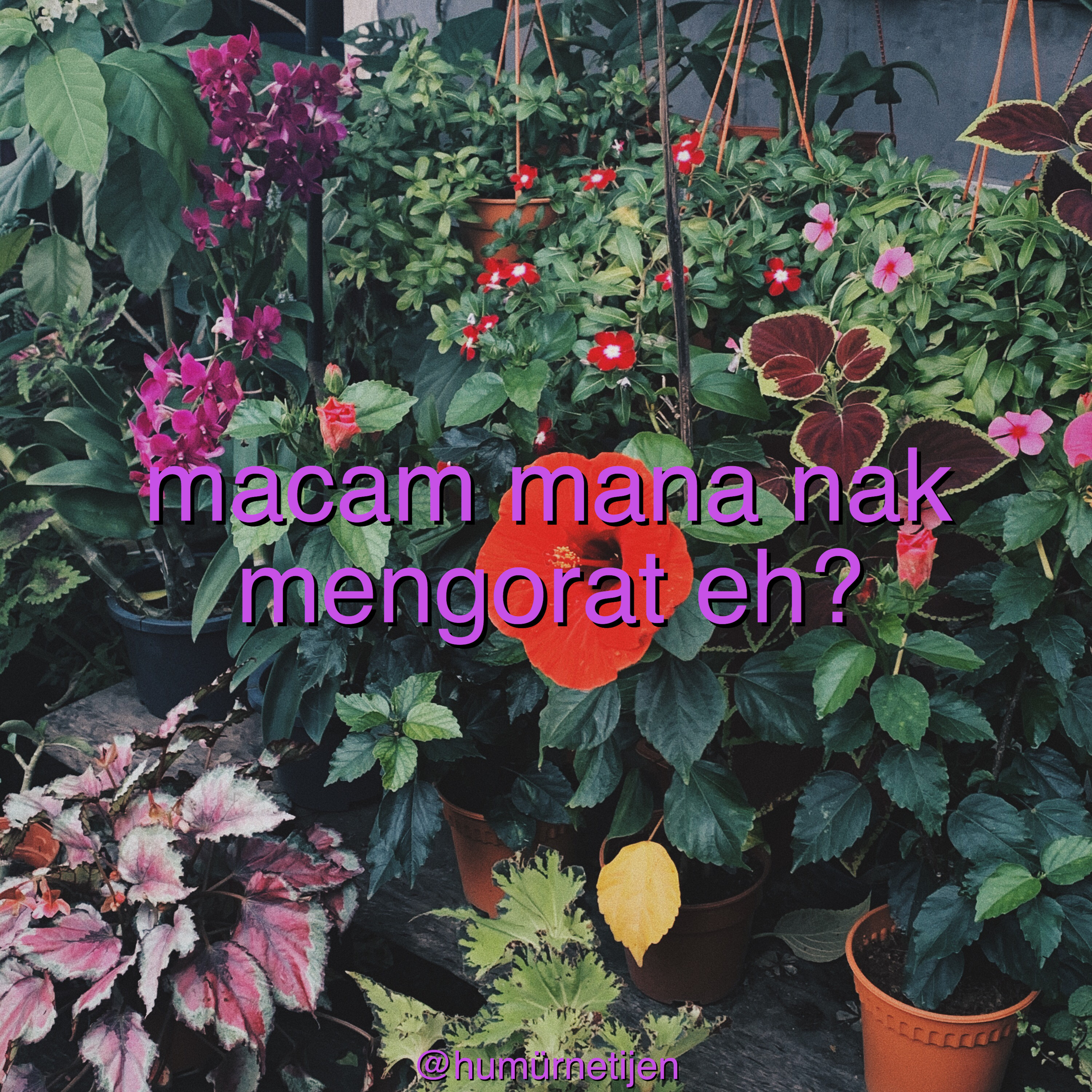 humurnetijen