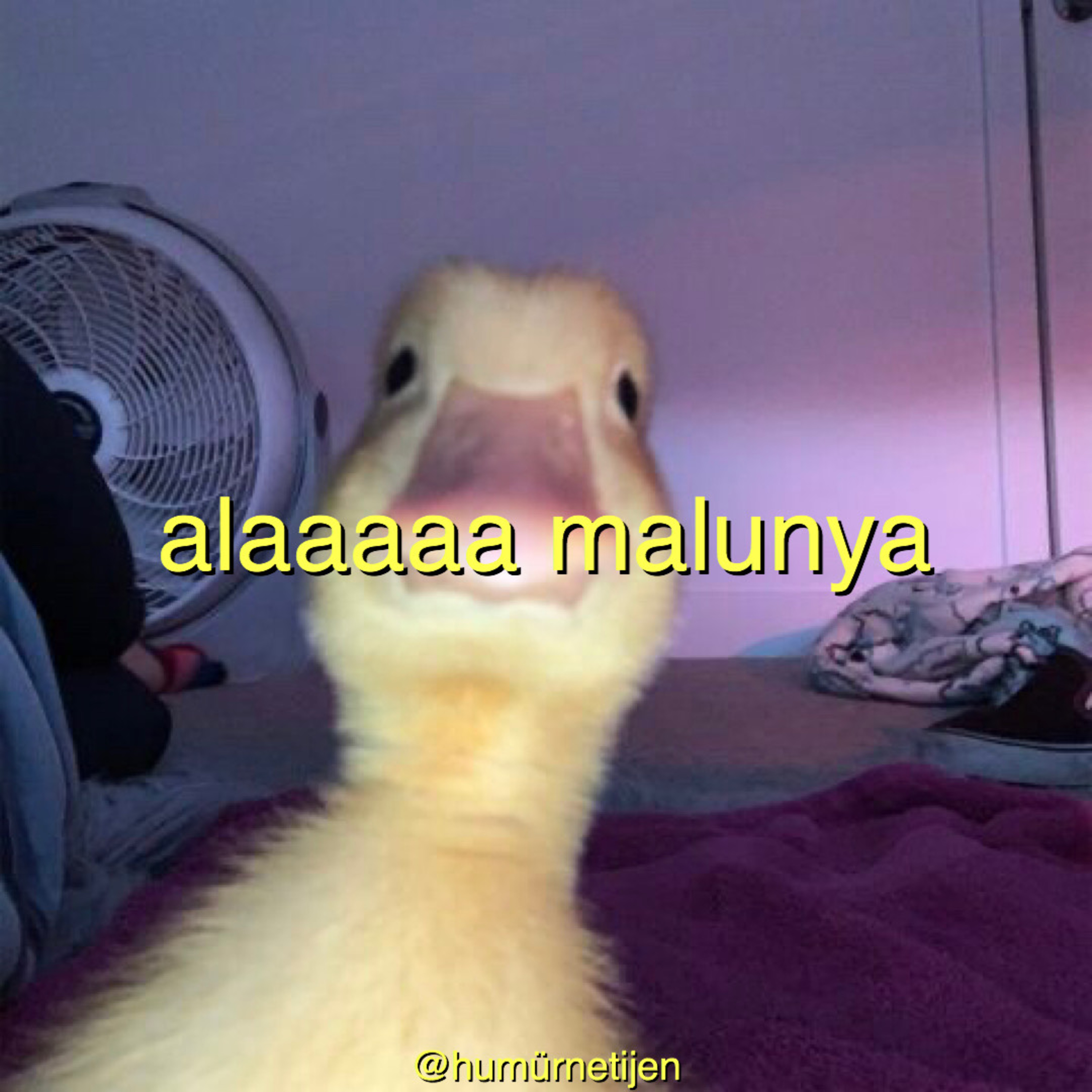 humurnetijen