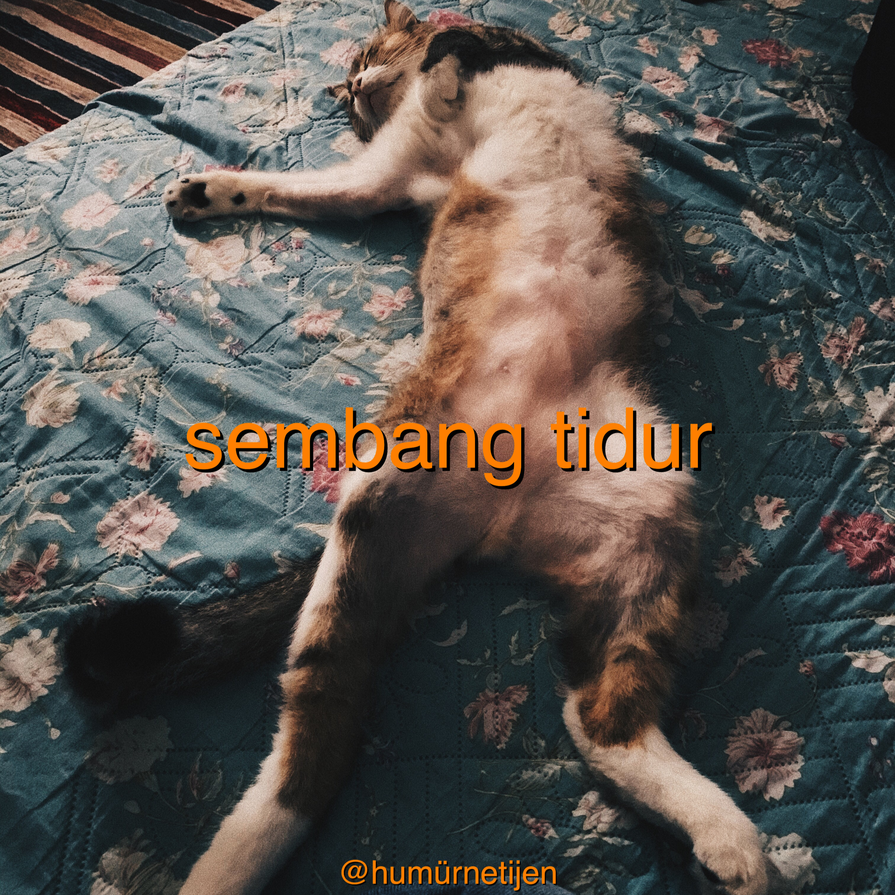 humurnetijen