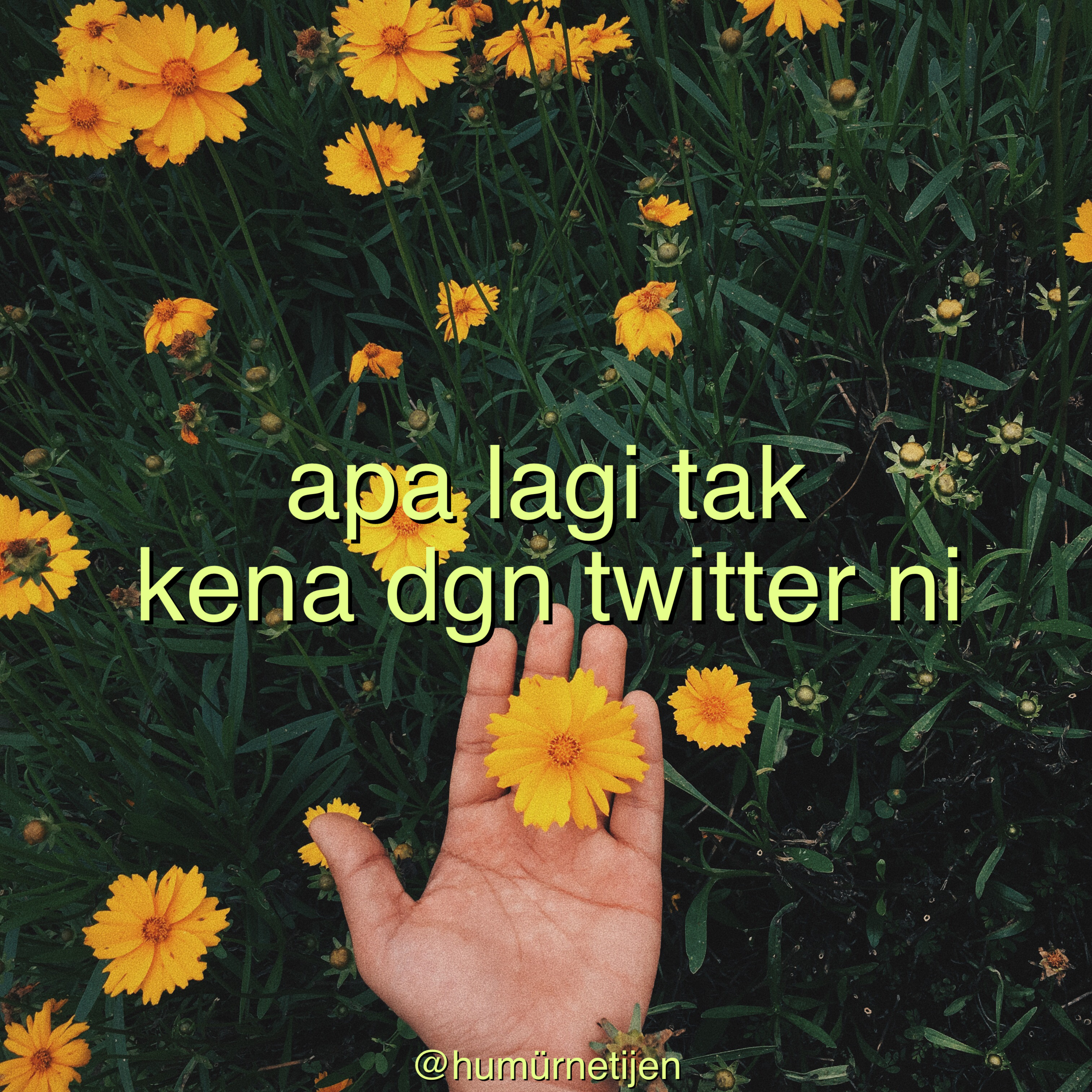 humurnetijen