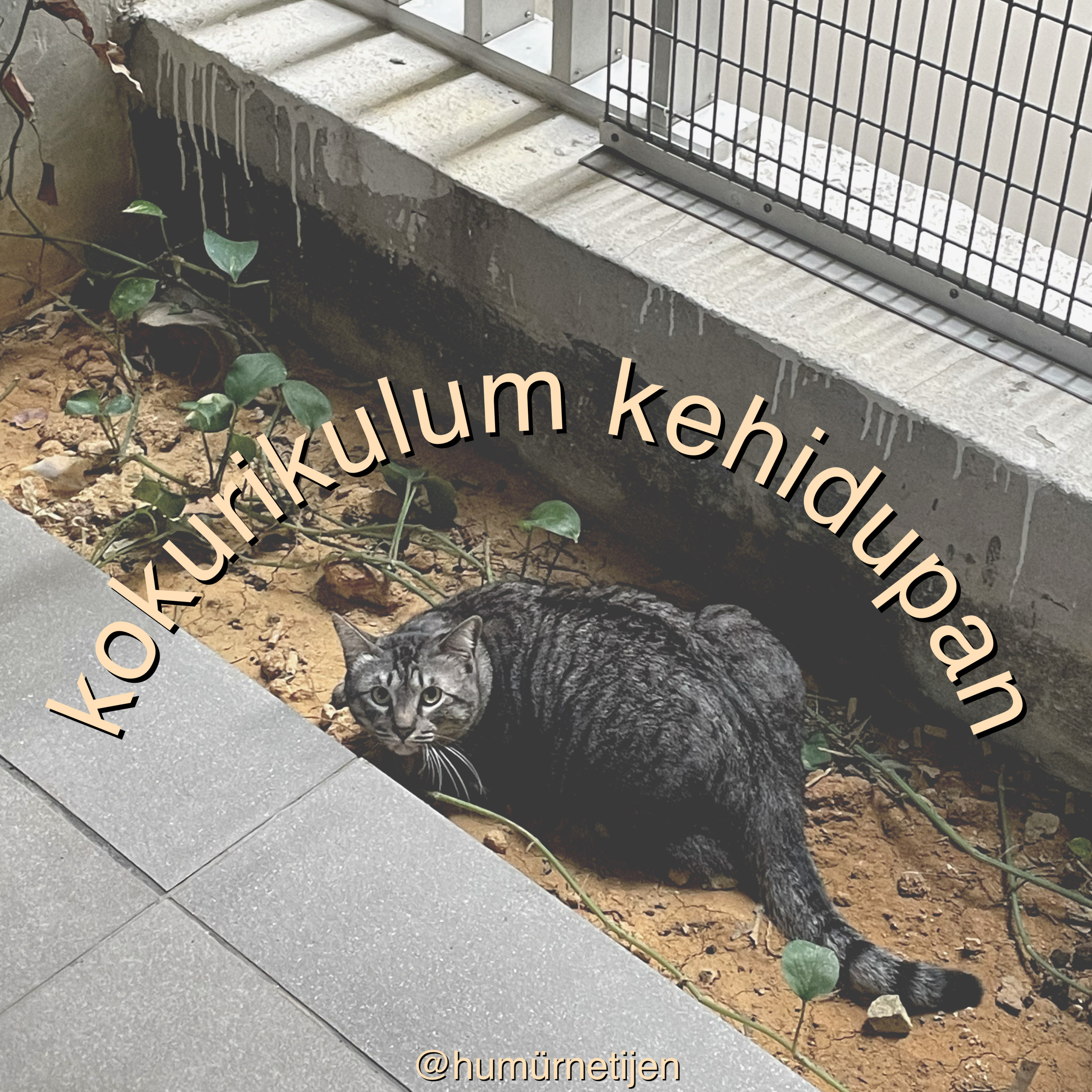 humurnetijen