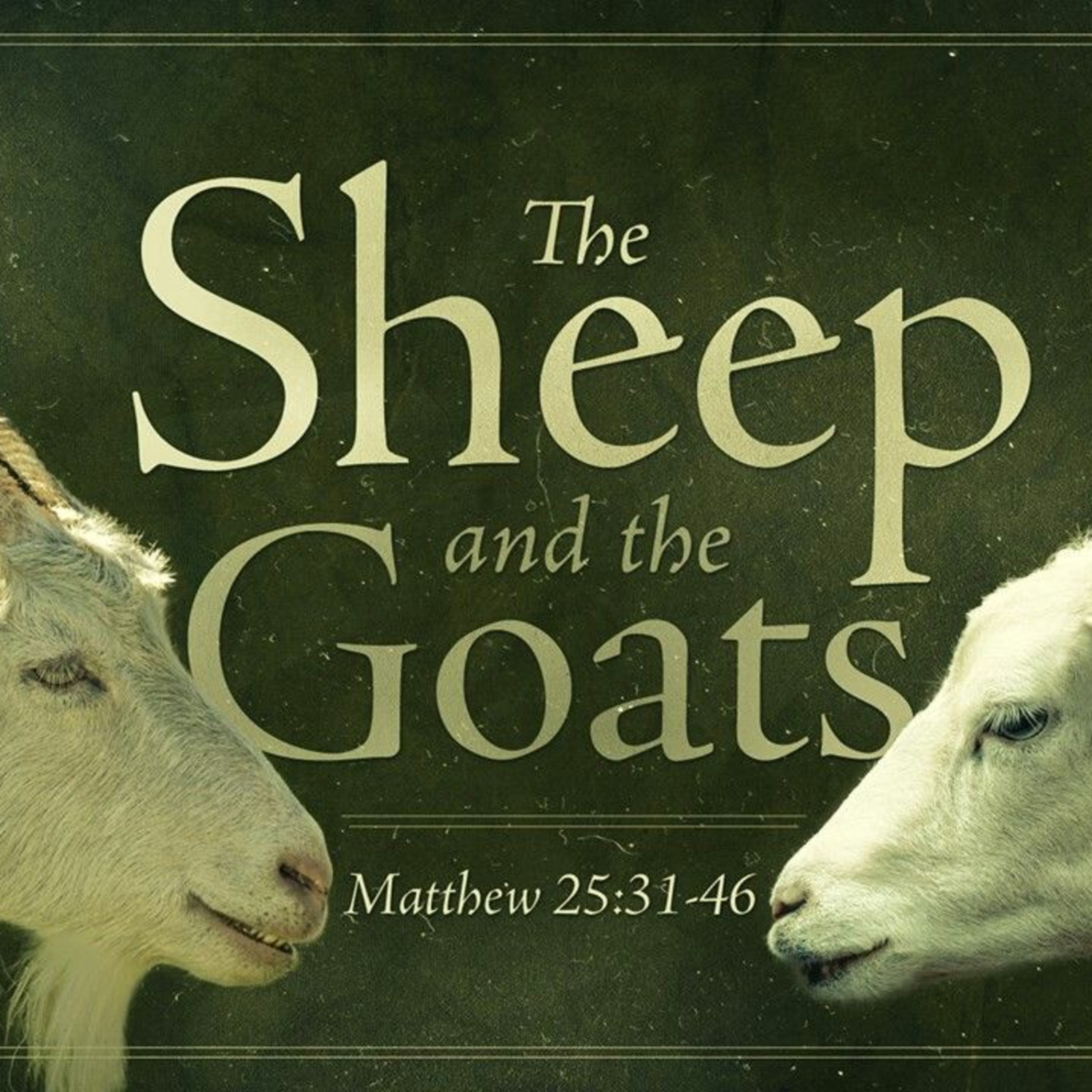 "God does not need your works and your neighbor needs your love" Trinity 26 2019