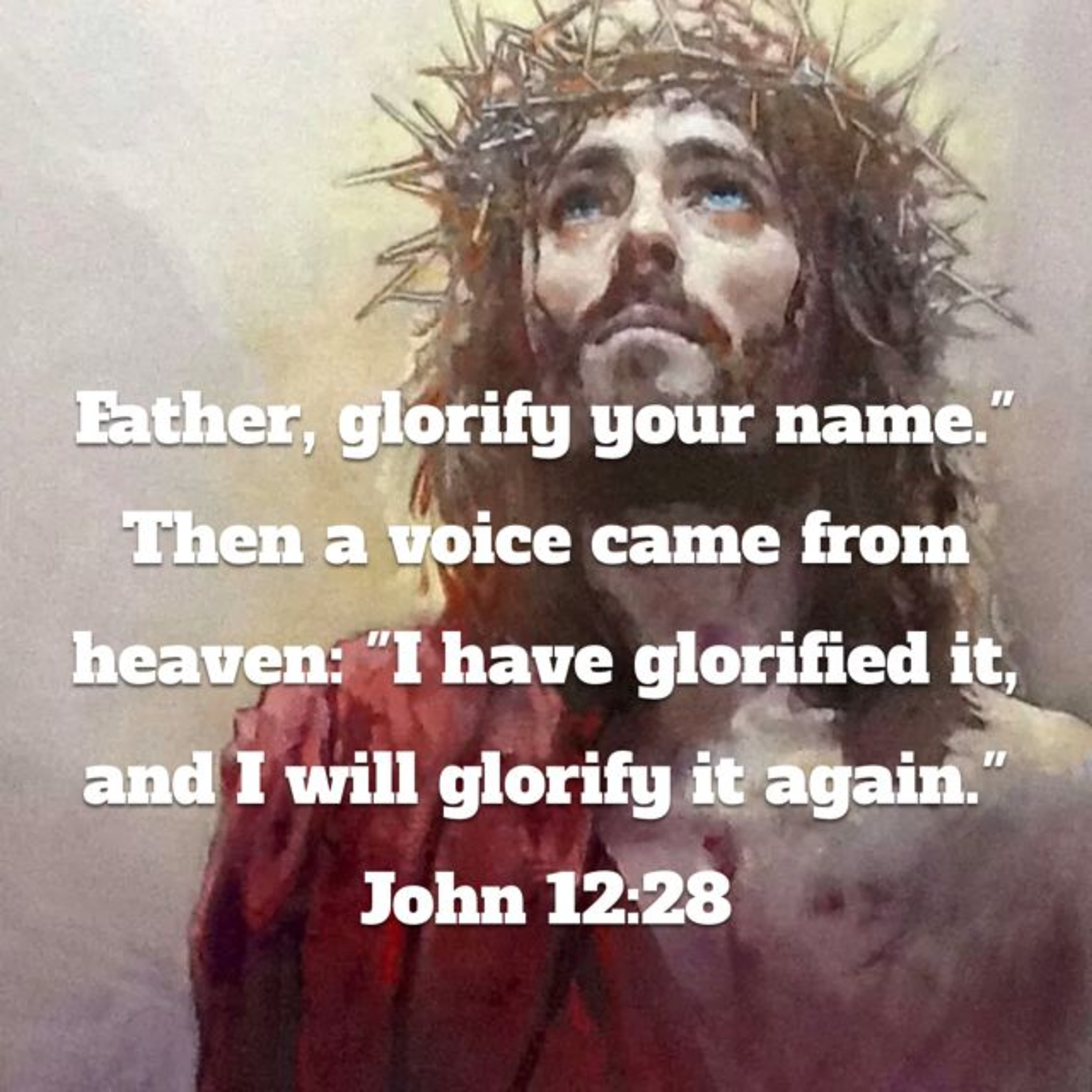 Bible Study: "Father, Glorify Your Name!" John 12:24-50