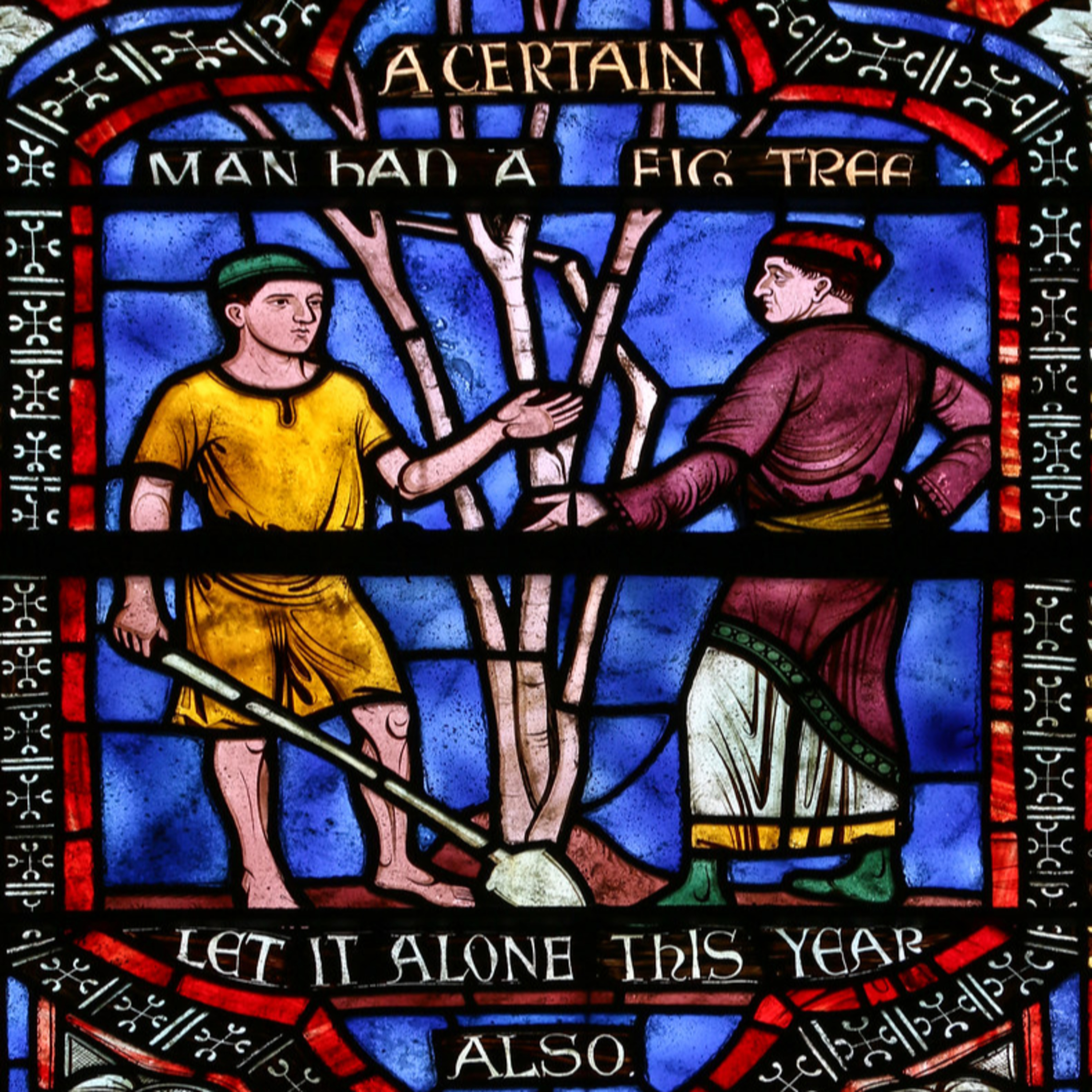 The Parable of the Fig Tree – The Congregation at Prayer for August 24, 2020