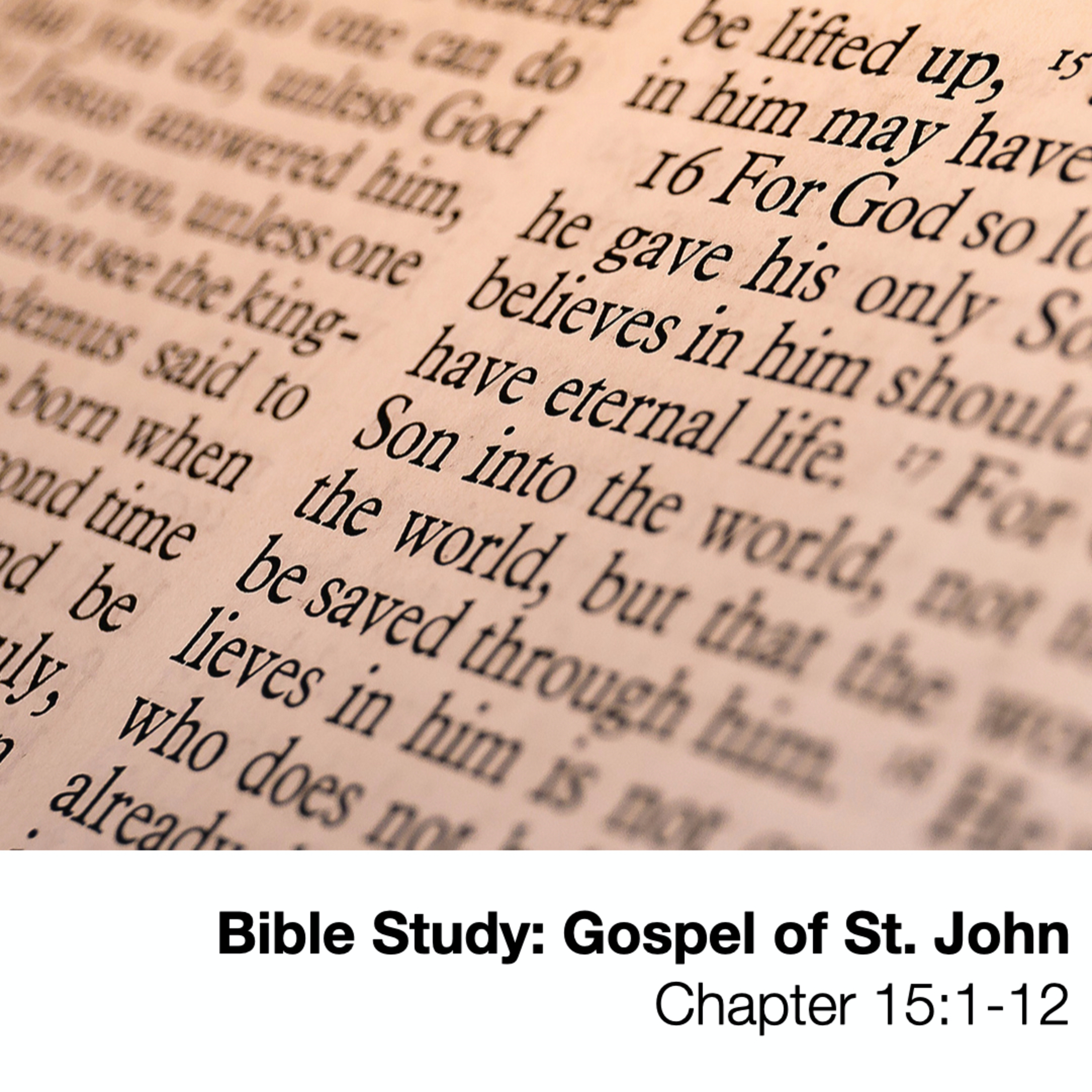 Bible Study: Gospel of St. John - Chapter 15:1-12 - November 8, 2020